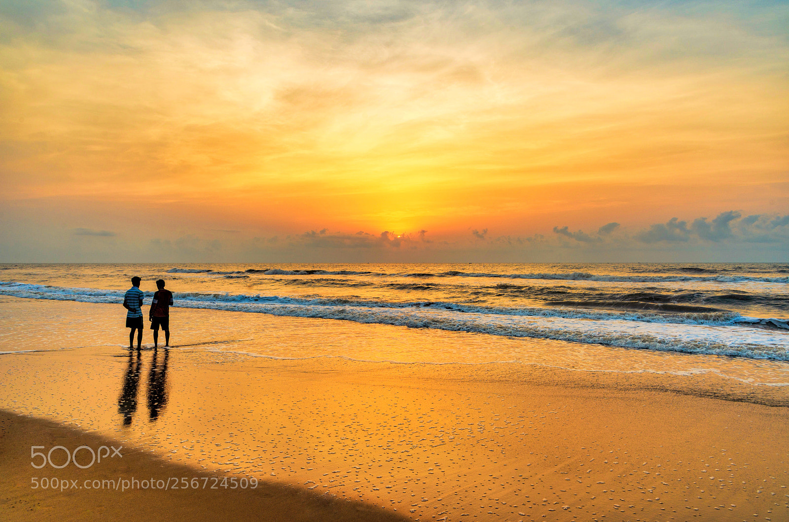Nikon D610 sample photo. A golden sunrise elliot's photography