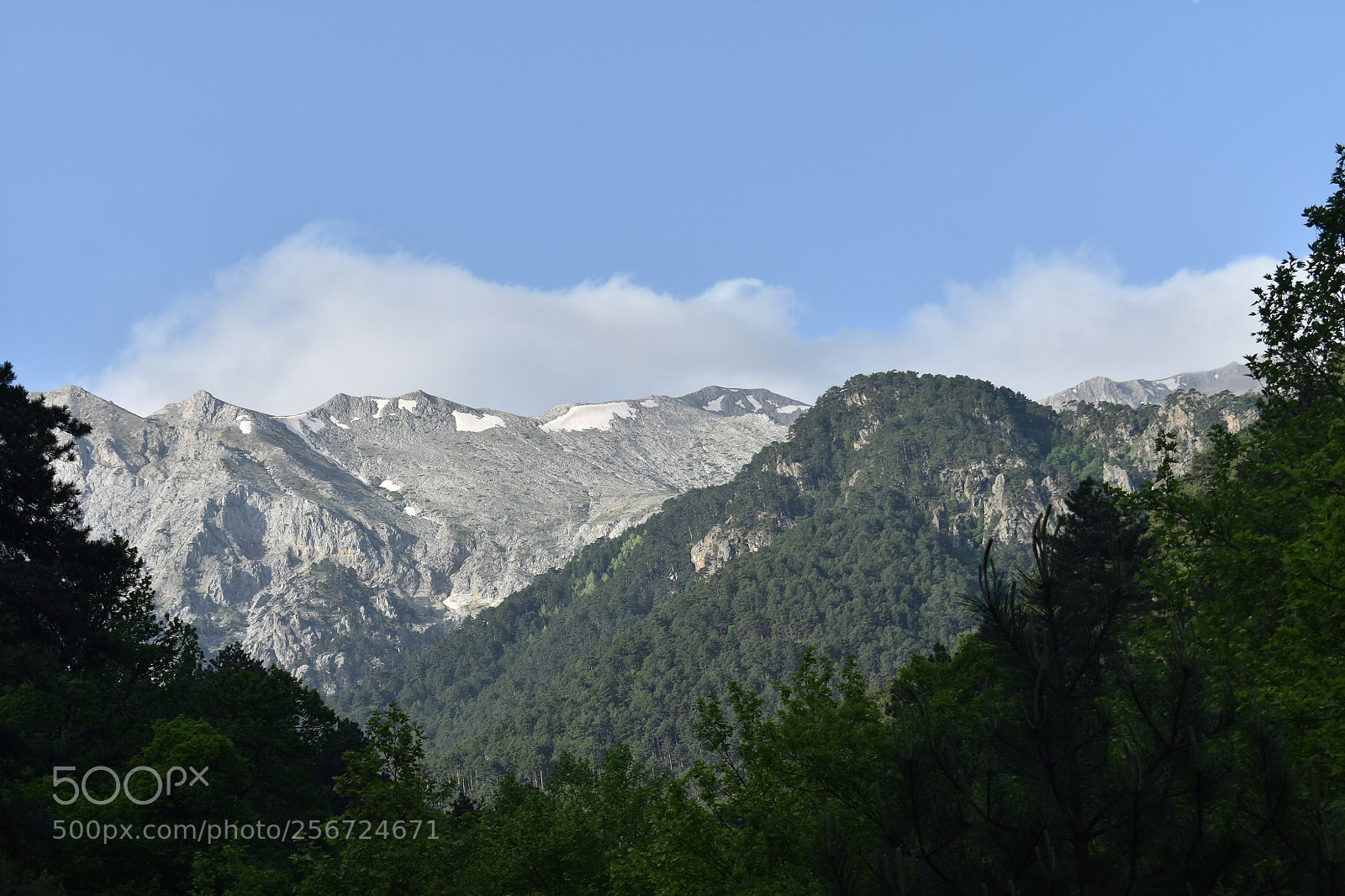 Nikon D3400 sample photo. 1 photography
