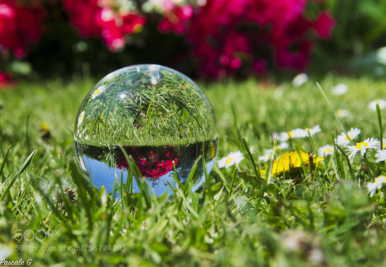 Nikon D7100 sample photo. Be careful ! faites attention ! photography