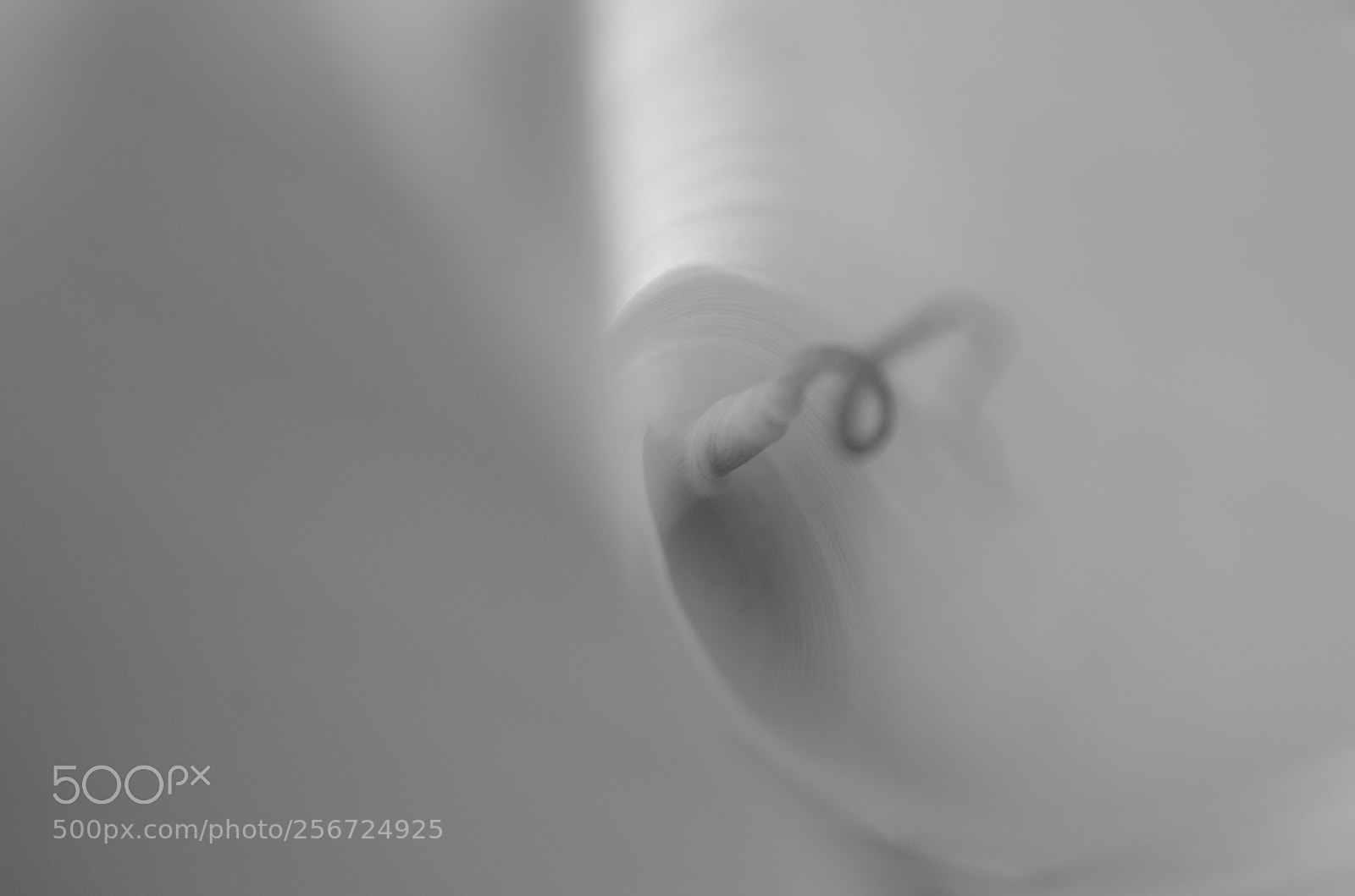 Nikon D5100 sample photo. Birth of truth photography