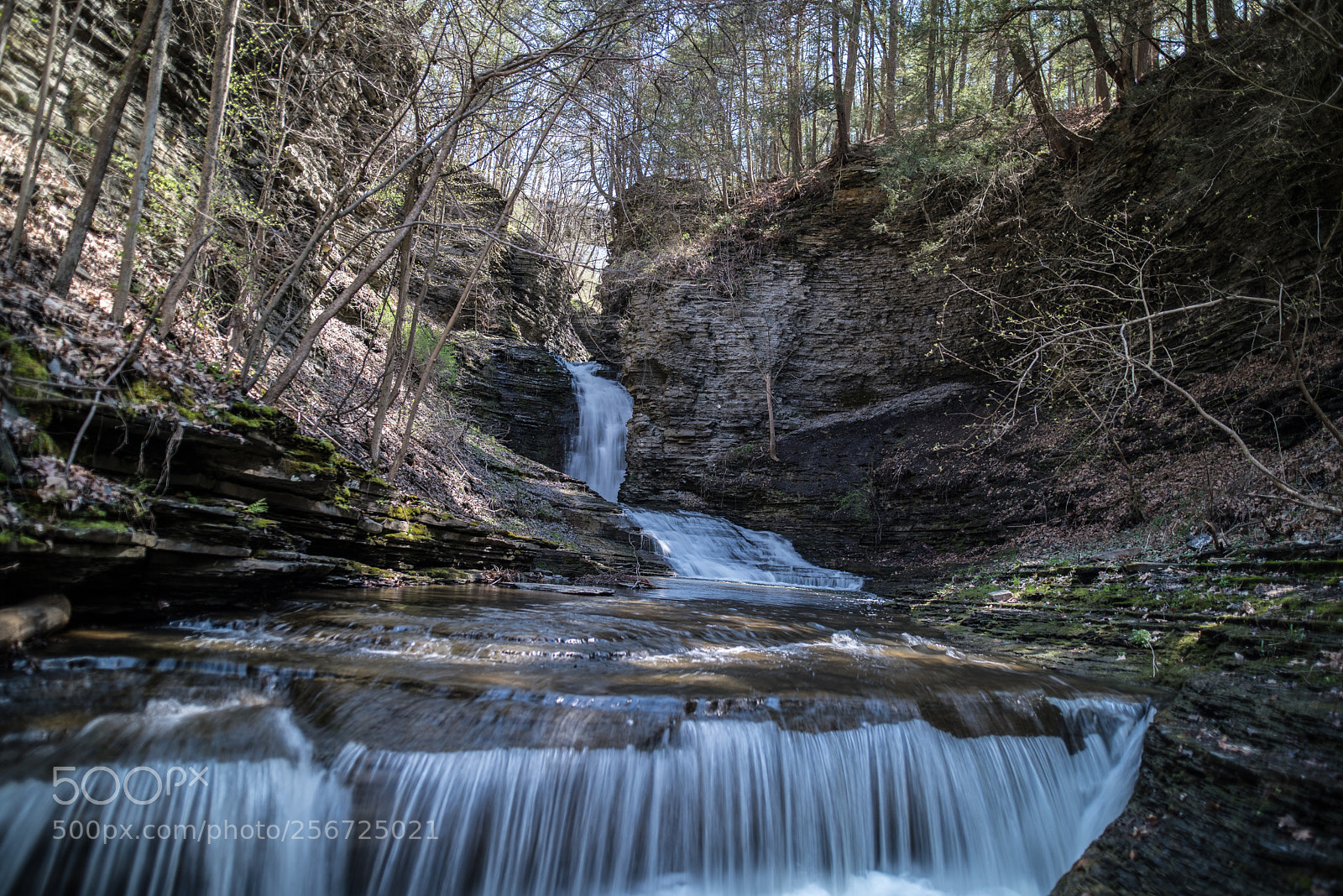 Nikon D750 sample photo. Deckertown falls photography