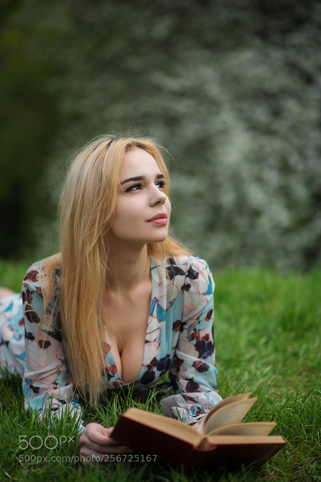 Nikon D750 sample photo. * photography