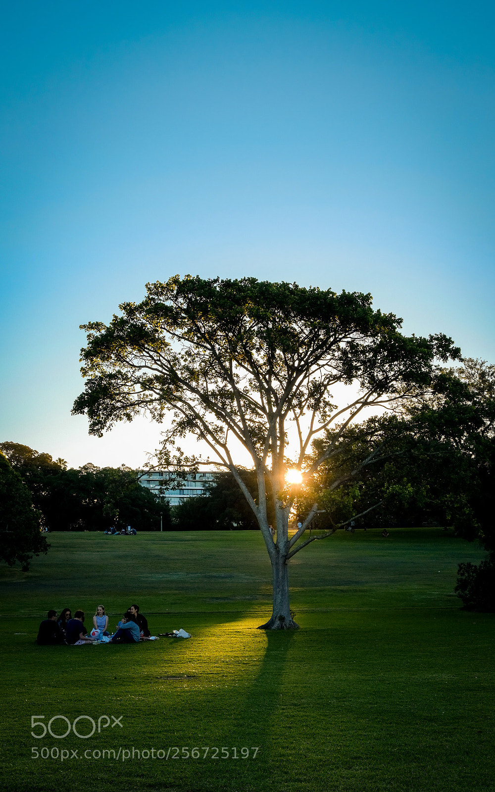 Fujifilm X-T20 sample photo. Picnic photography