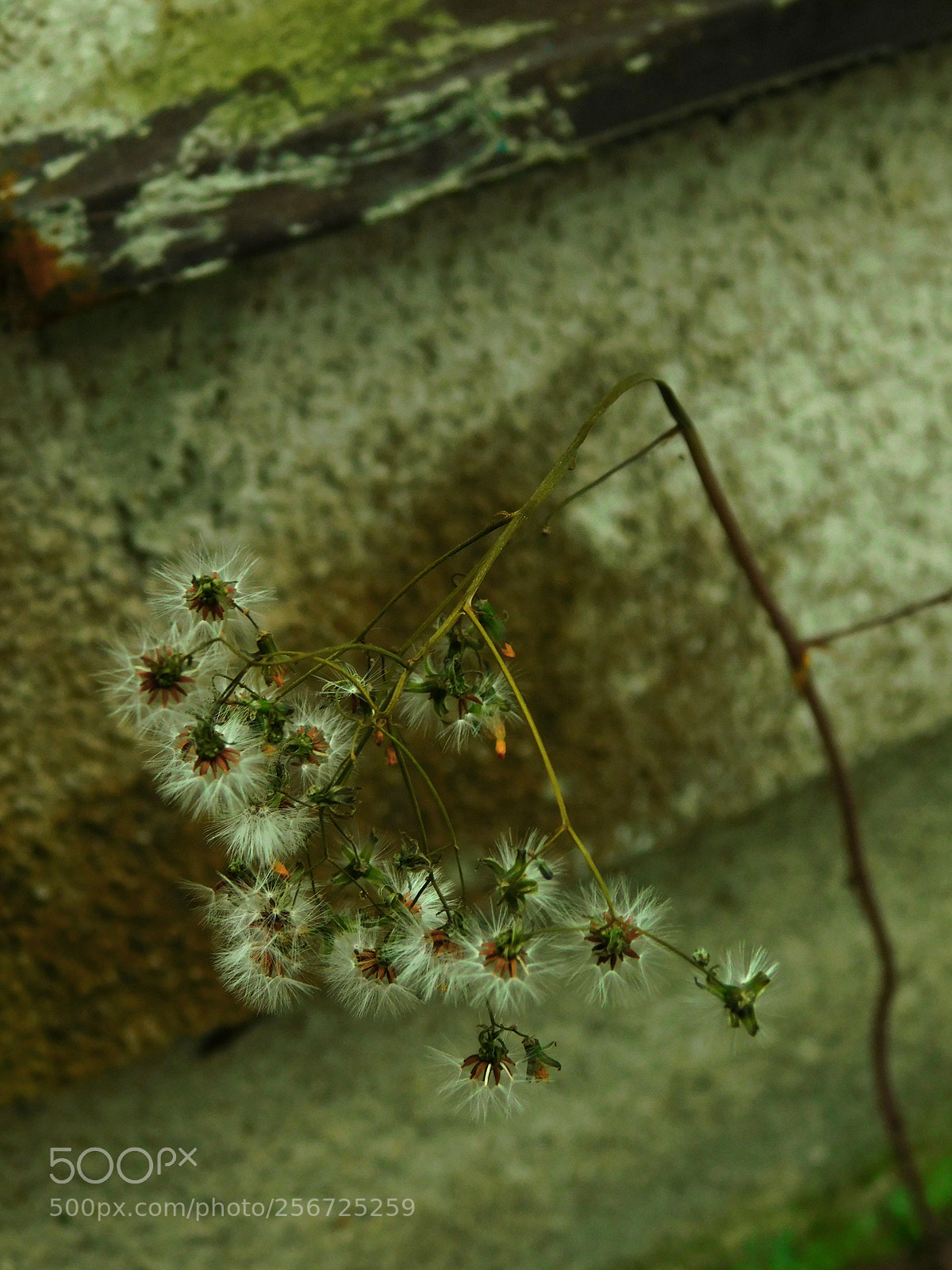 Nikon Coolpix B500 sample photo. The corner photography