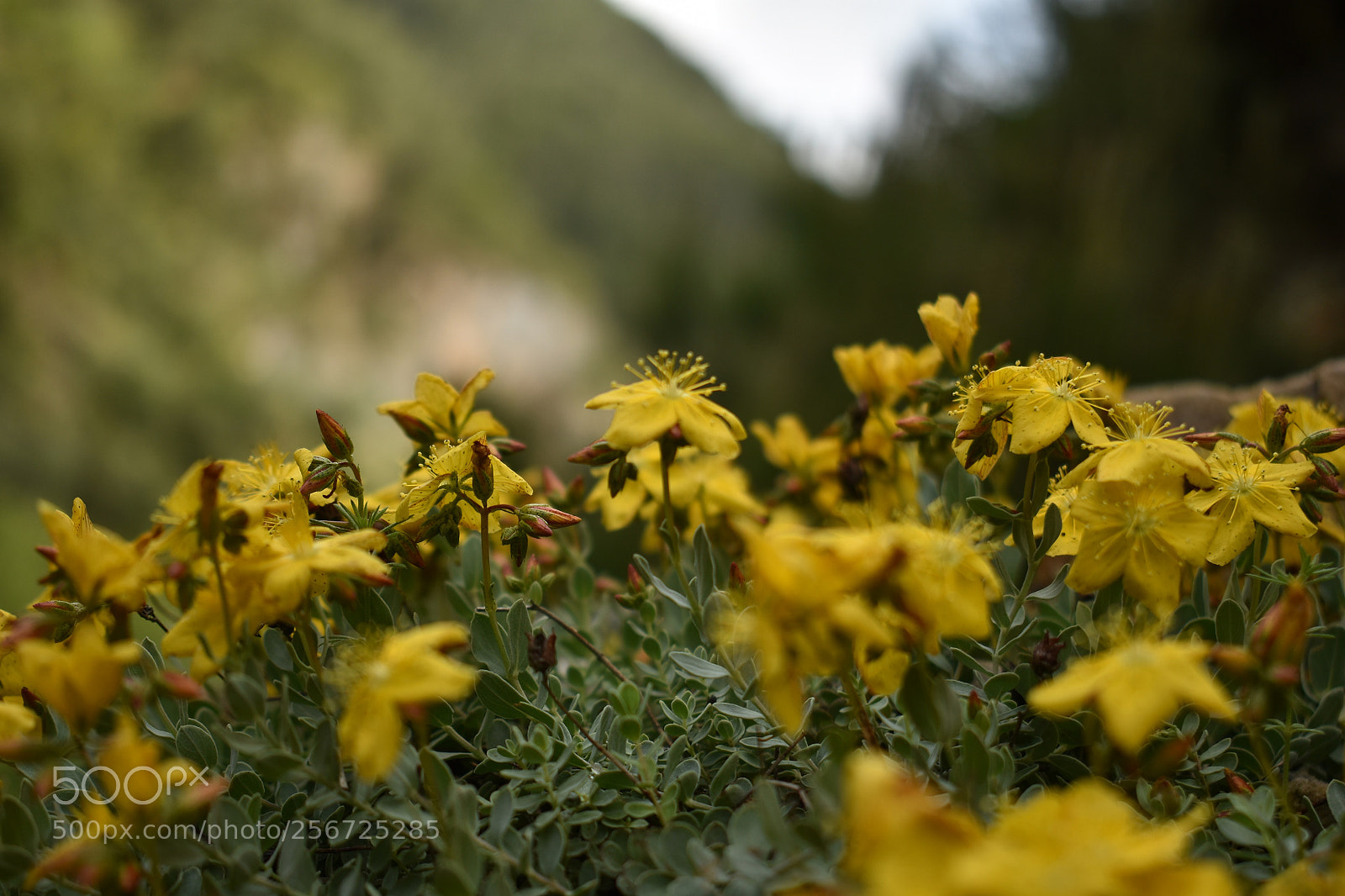 Nikon D3400 sample photo. 3 photography