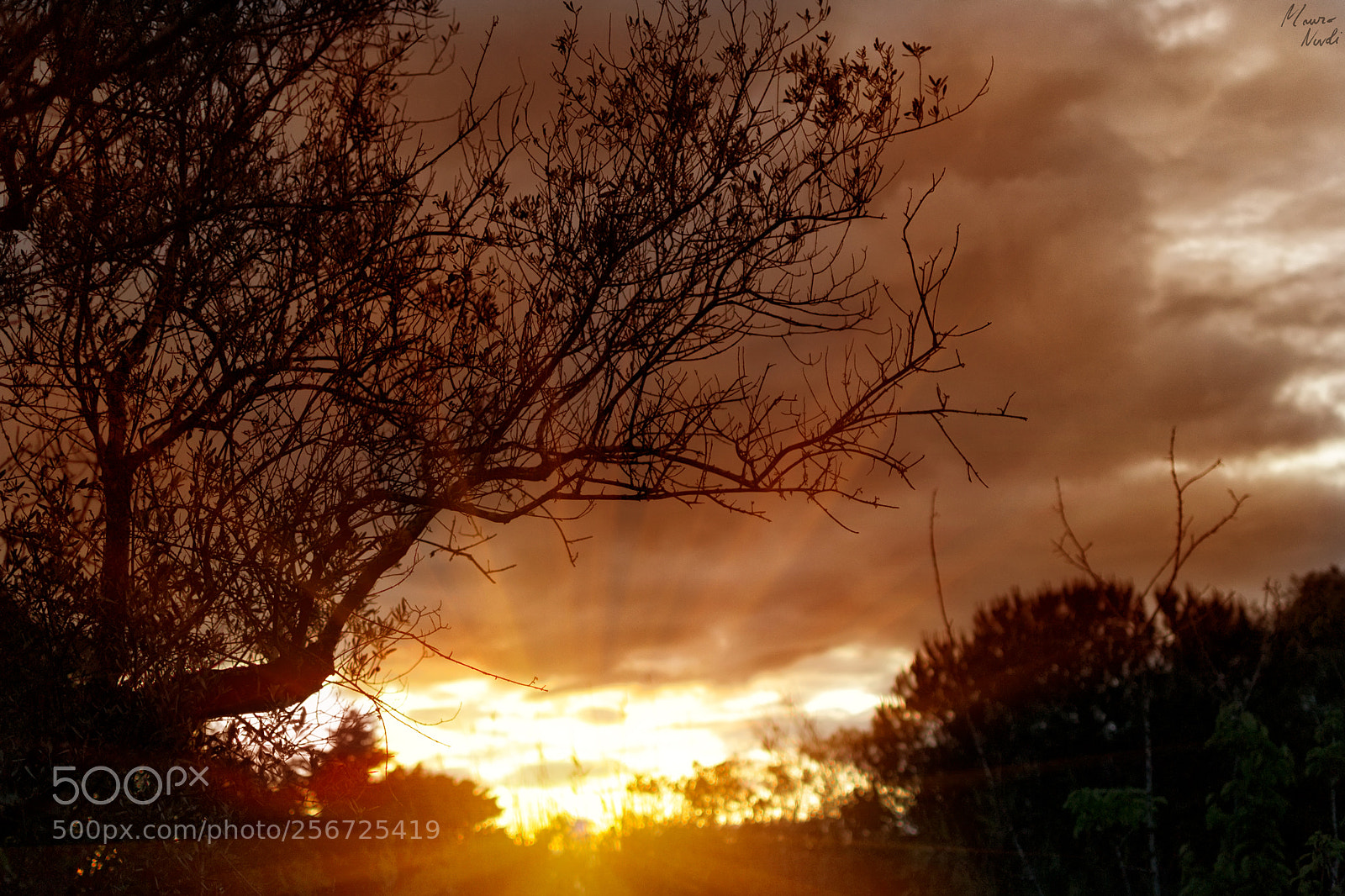Nikon D3100 sample photo. Tramonti photography
