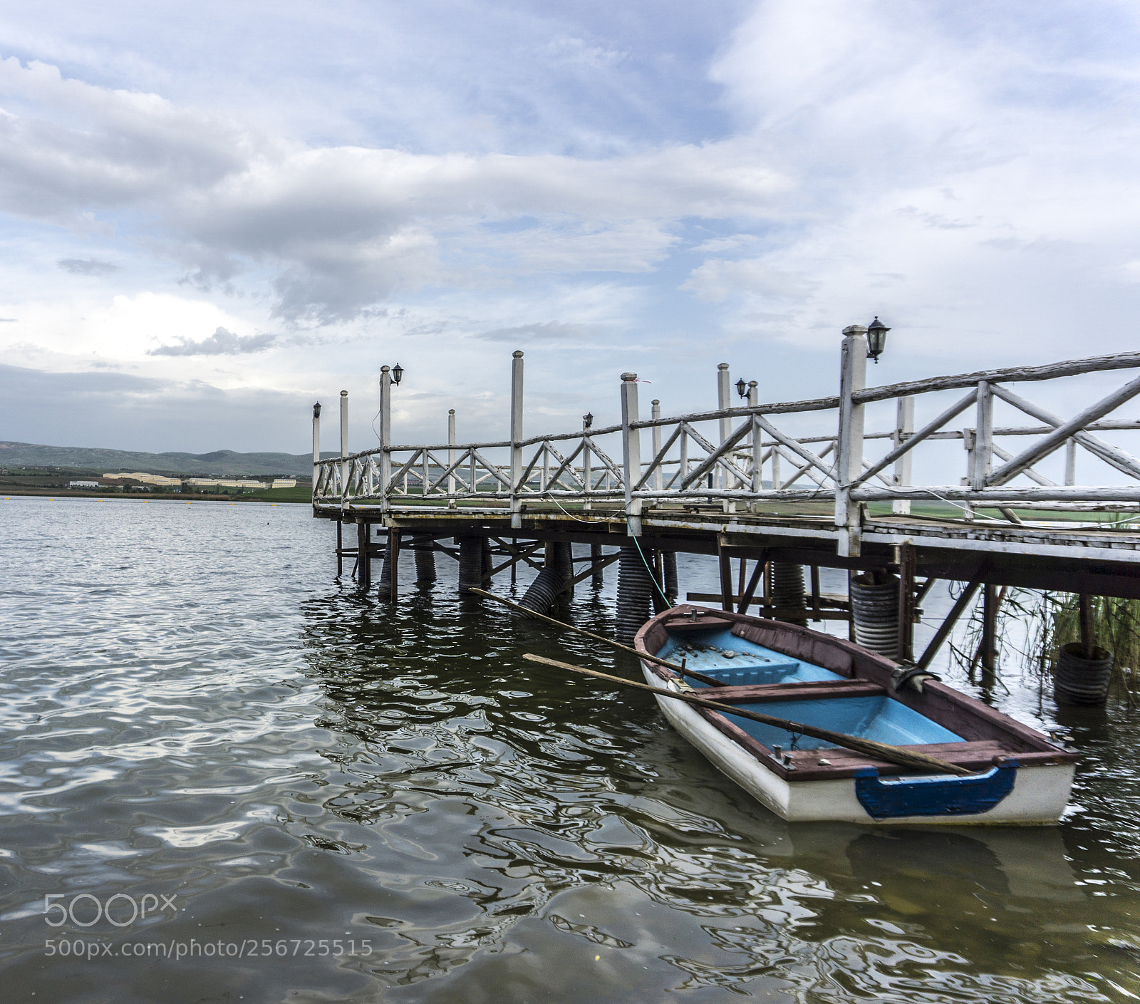 Sony a6000 sample photo. Dsc photography