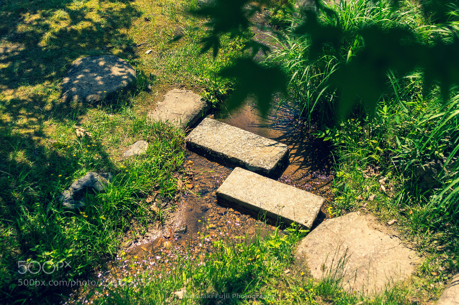 Olympus OM-D E-M1 sample photo. Stepping stones photography