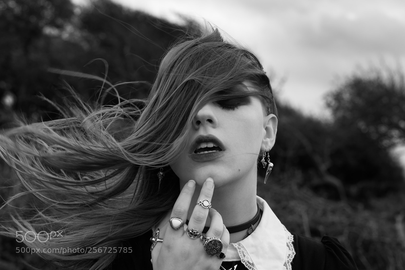 Canon EOS 80D sample photo. Upon the heath photography