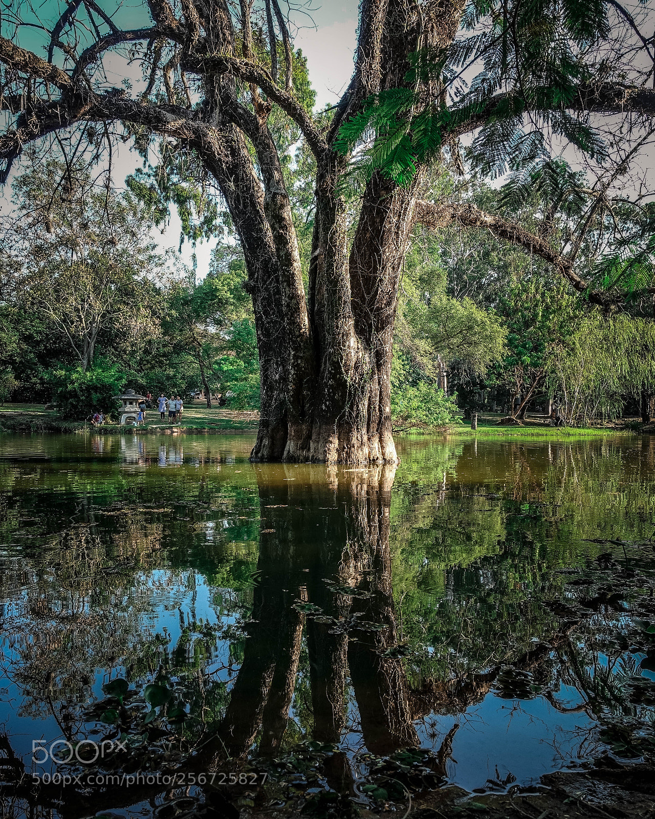 Sony Cyber-shot DSC-RX100 III sample photo. Colorful reflection photography