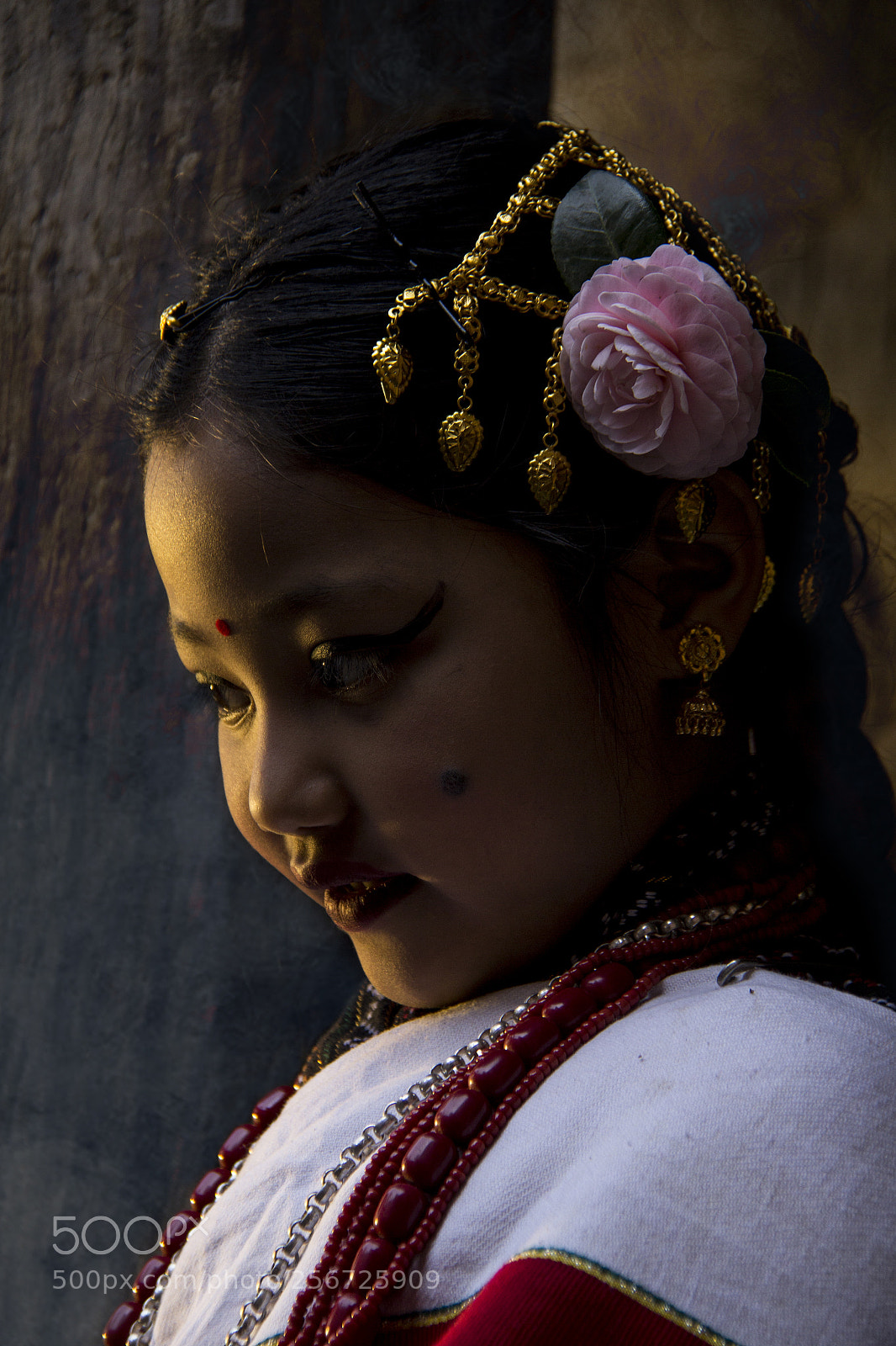 Canon EOS 60D sample photo. Sikchhya gold photography