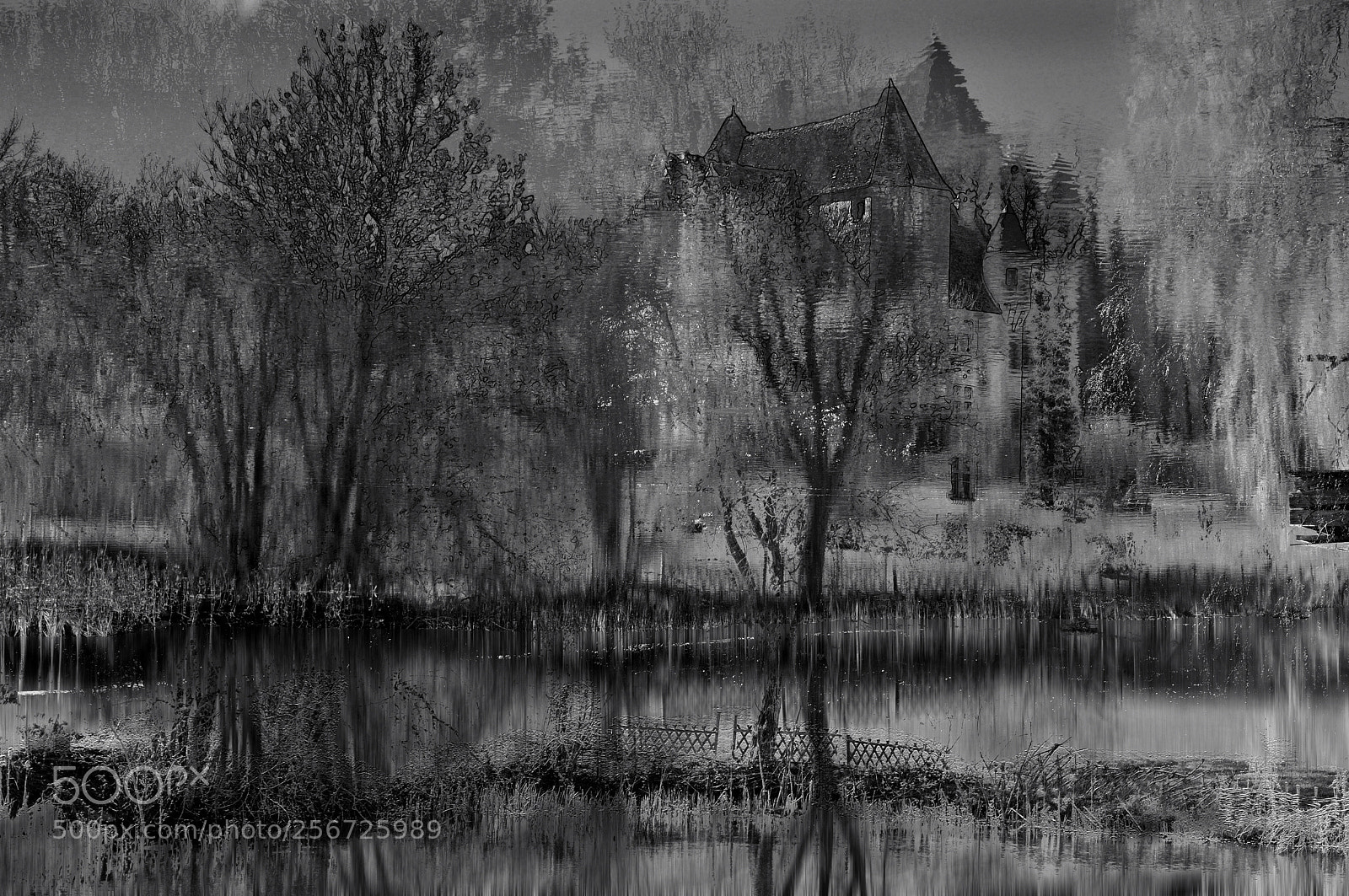 Nikon D300 sample photo. The sunken manor photography