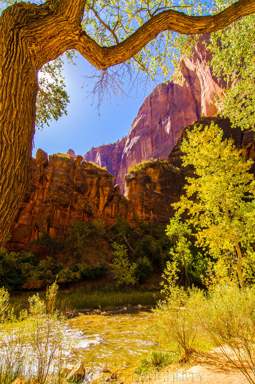 Nikon D90 sample photo. Zion nat pk, virgin photography