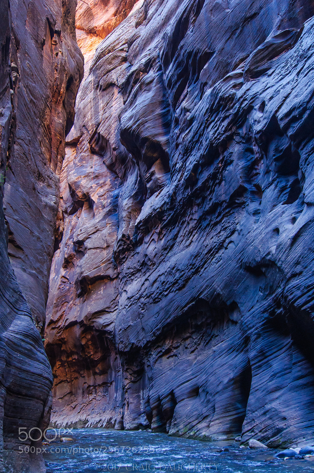 Nikon D90 sample photo. Zion nat pk, virgin photography