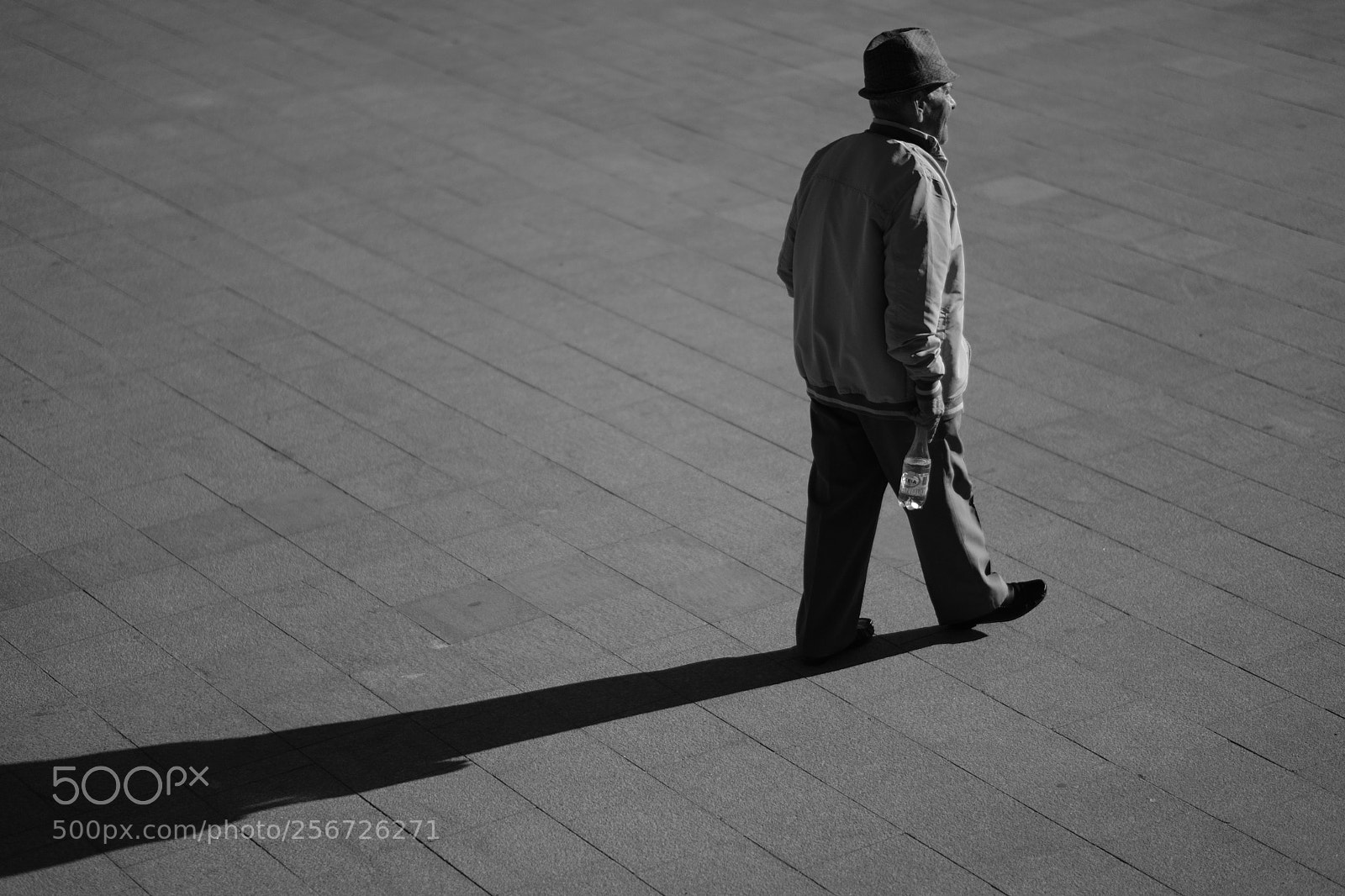 Fujifilm X-T2 sample photo. Sun walk photography