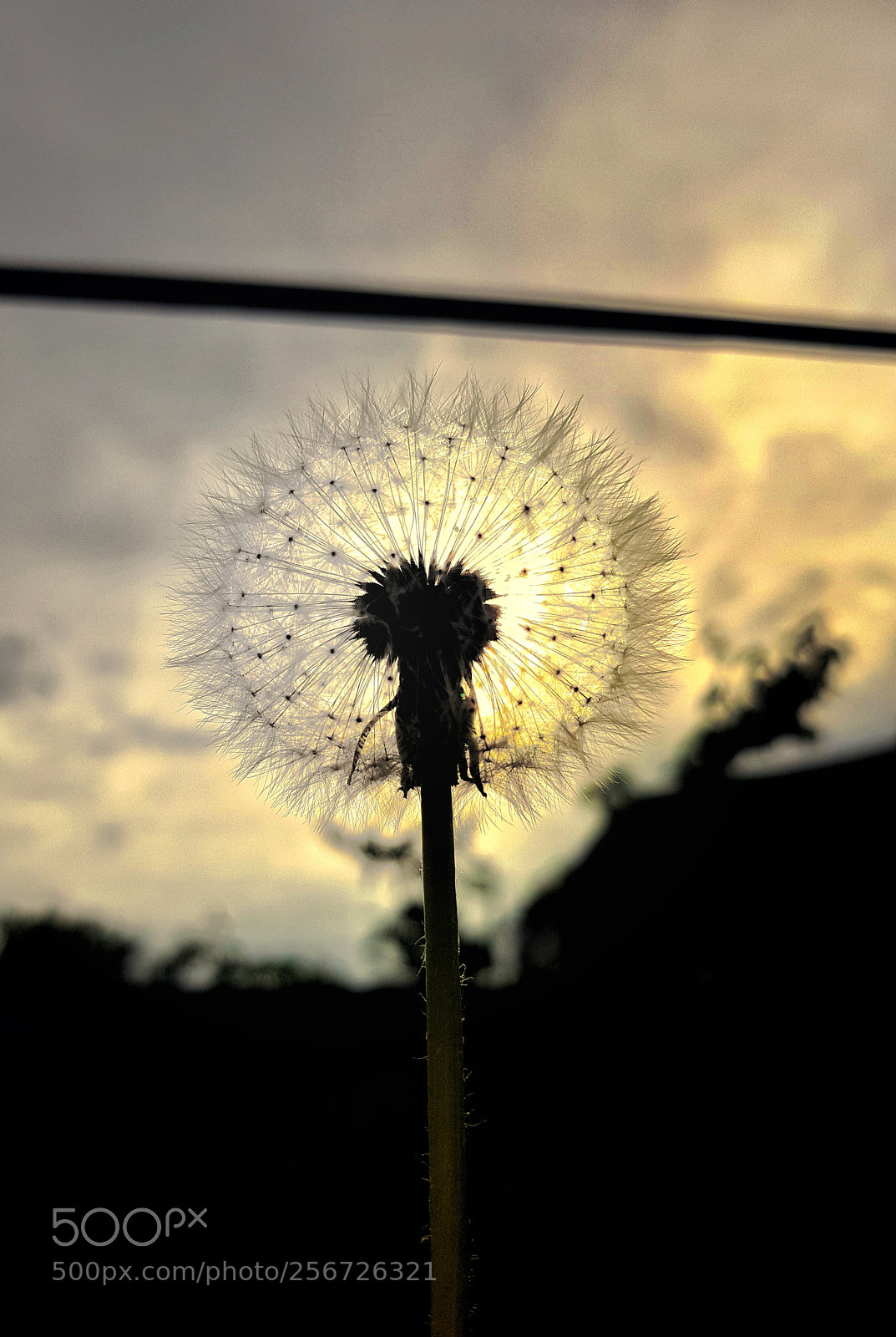 Samsung Galaxy S8 sample photo. Untitled photography