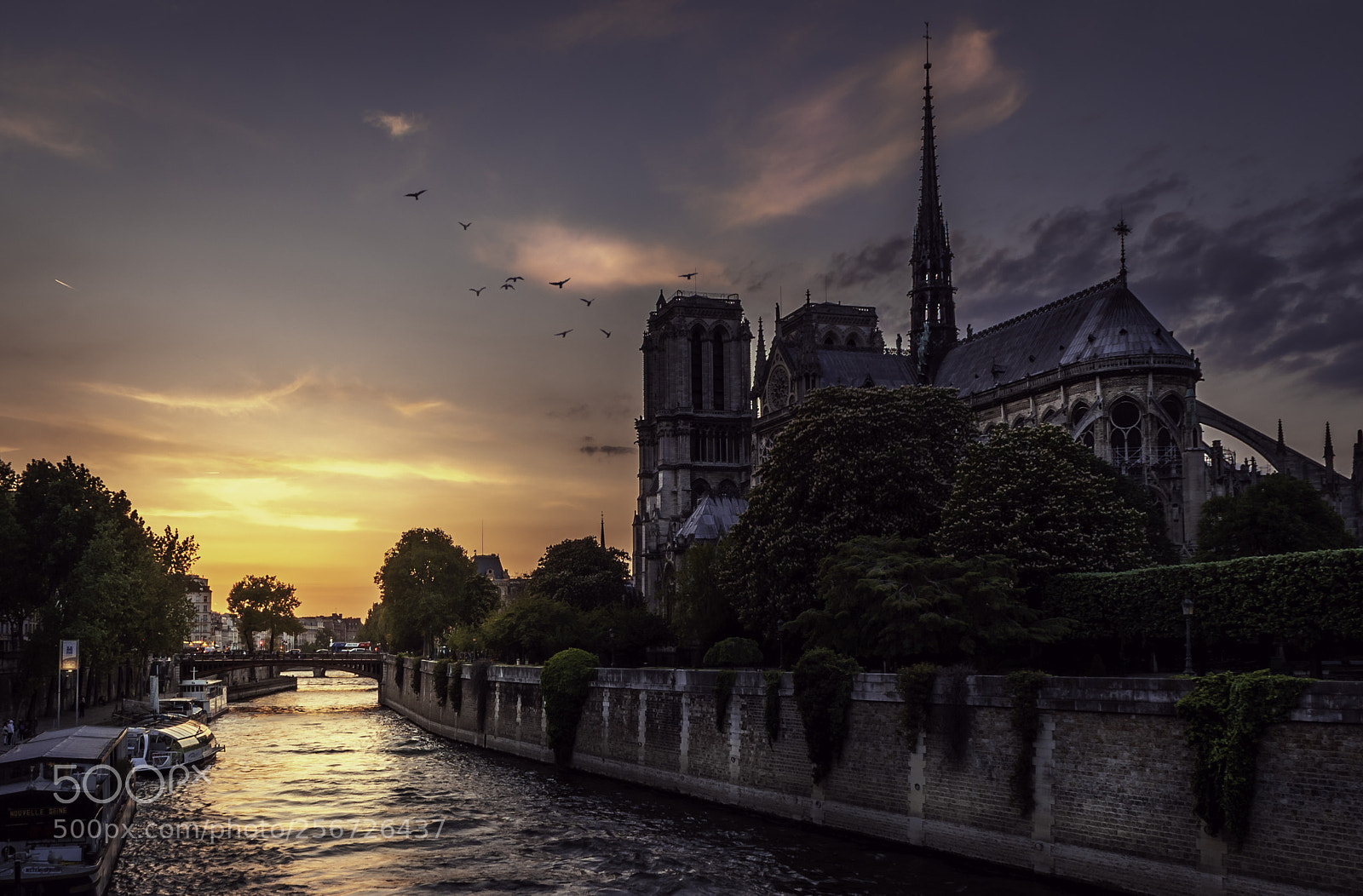Nikon D750 sample photo. Notre-dame photography