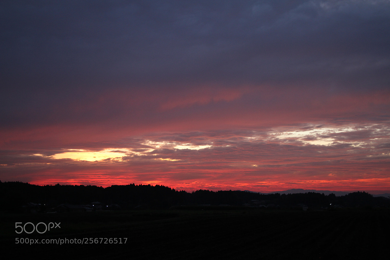 Canon EOS 7D + Canon EF 50mm F1.8 II sample photo. Img photography