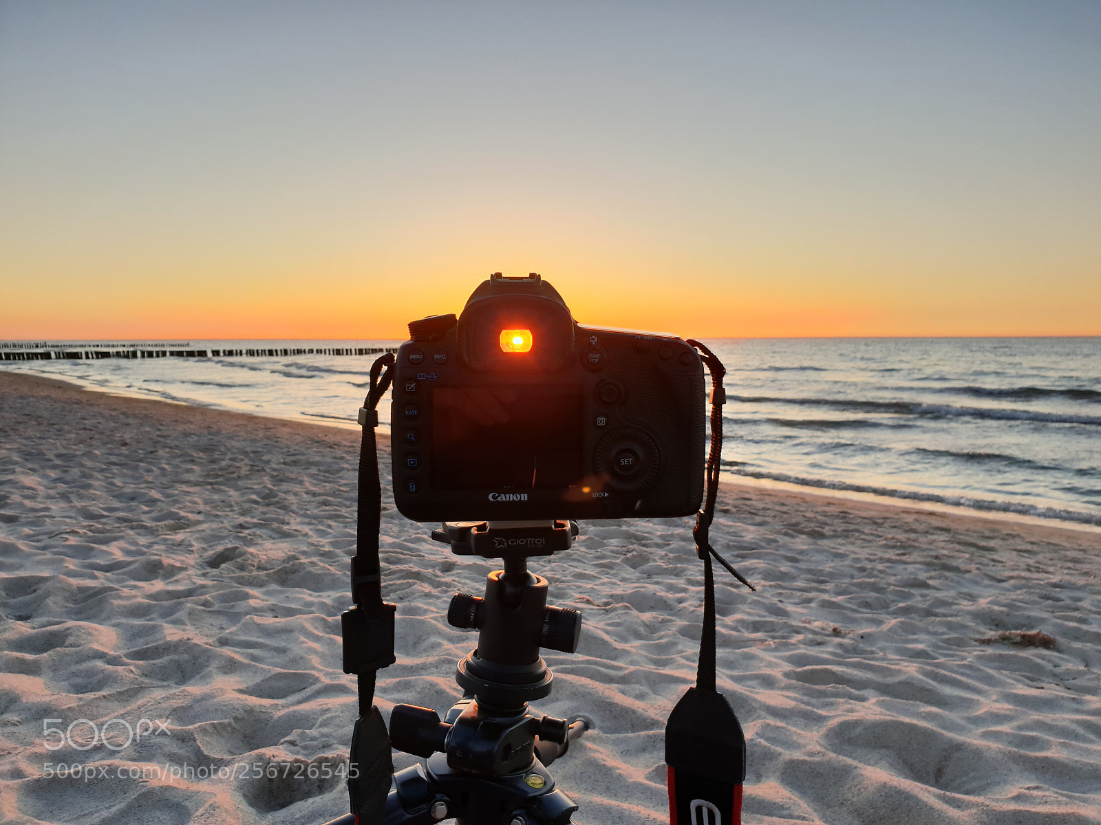 Samsung Galaxy S9 sample photo. Just for fun:) photography