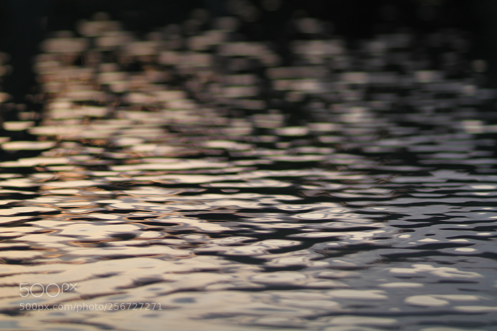 Canon EOS 7D + Canon EF 50mm F1.8 II sample photo. Img photography