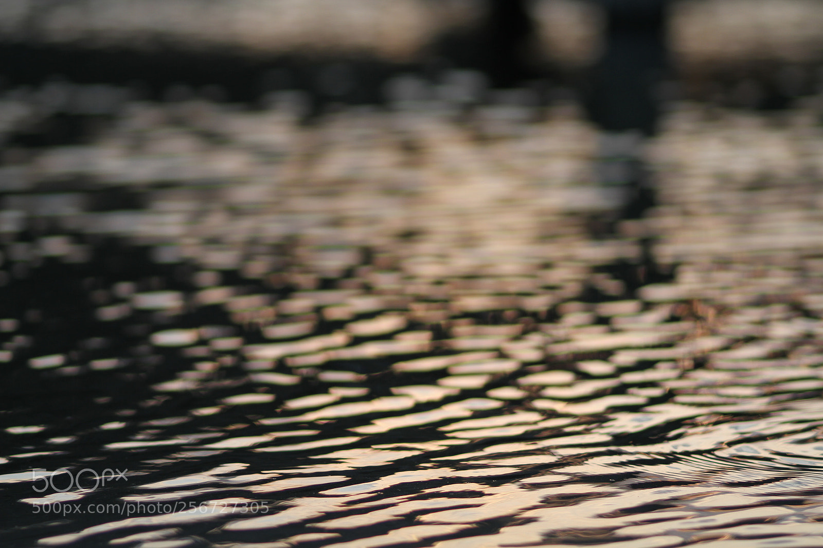 Canon EOS 7D + Canon EF 50mm F1.8 II sample photo. Img photography