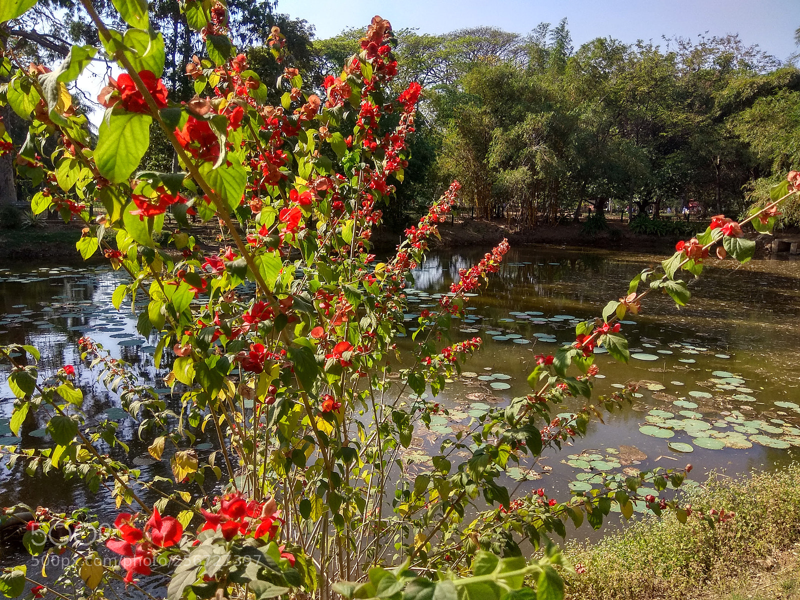 Xiaomi Redmi Note 4 sample photo. Hdr photography
