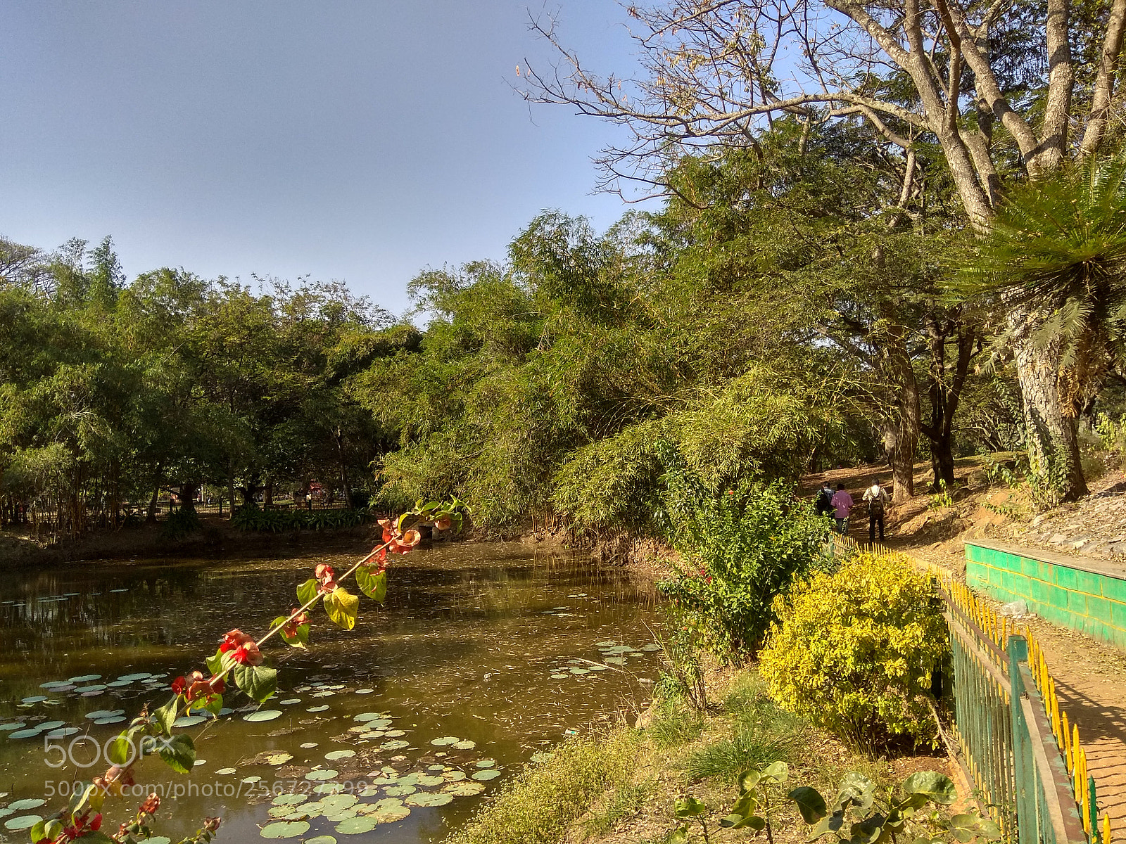 Xiaomi Redmi Note 4 sample photo. Hdr photography