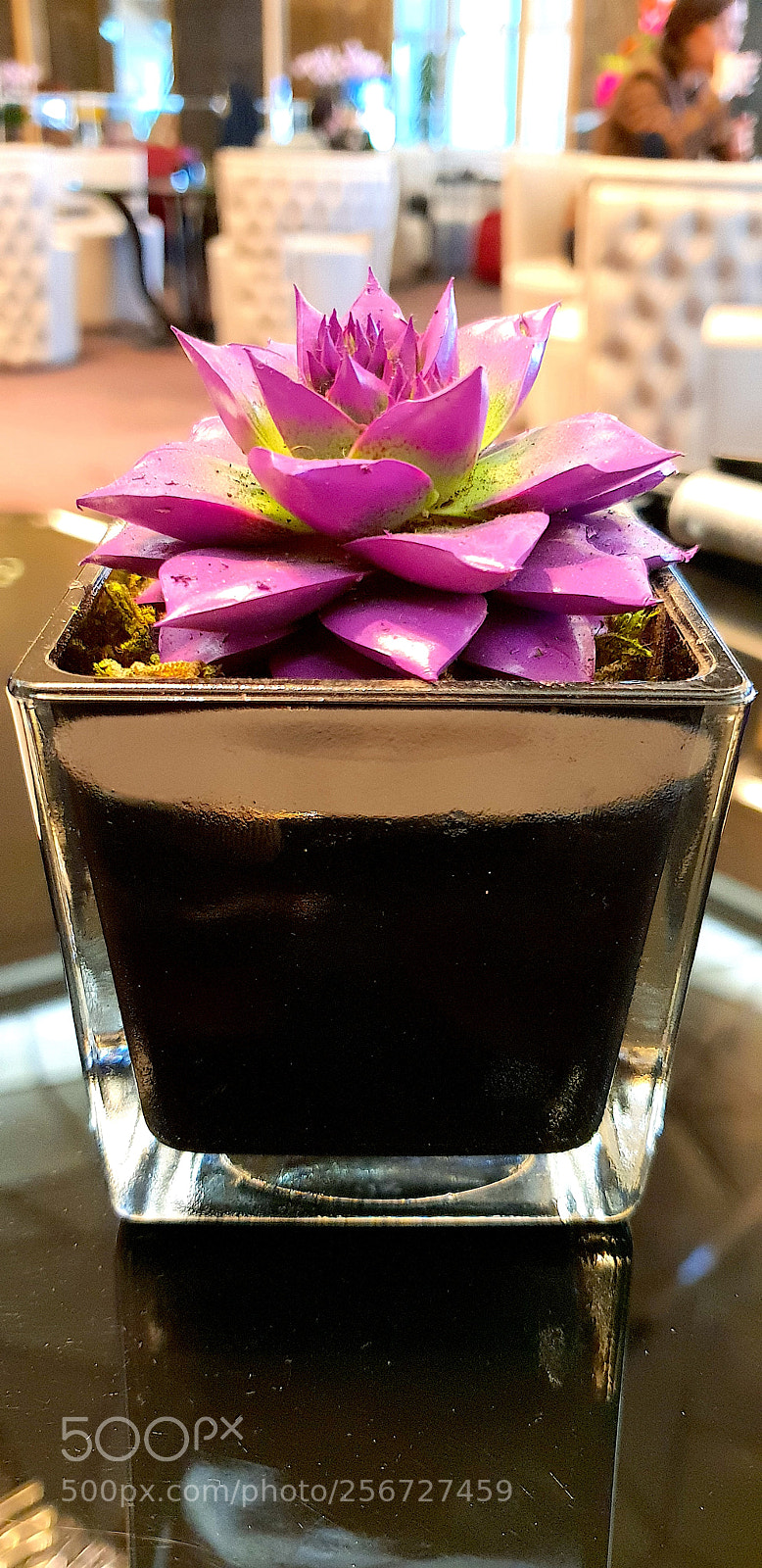 Samsung Galaxy S9+ sample photo. 20180416_170541.jpg photography