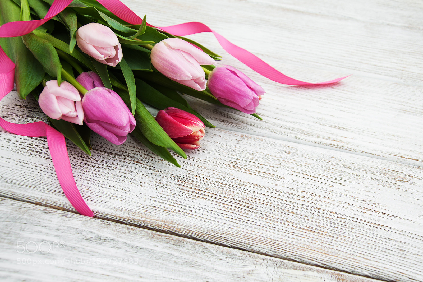 Nikon D90 sample photo. Spring tulips  photography