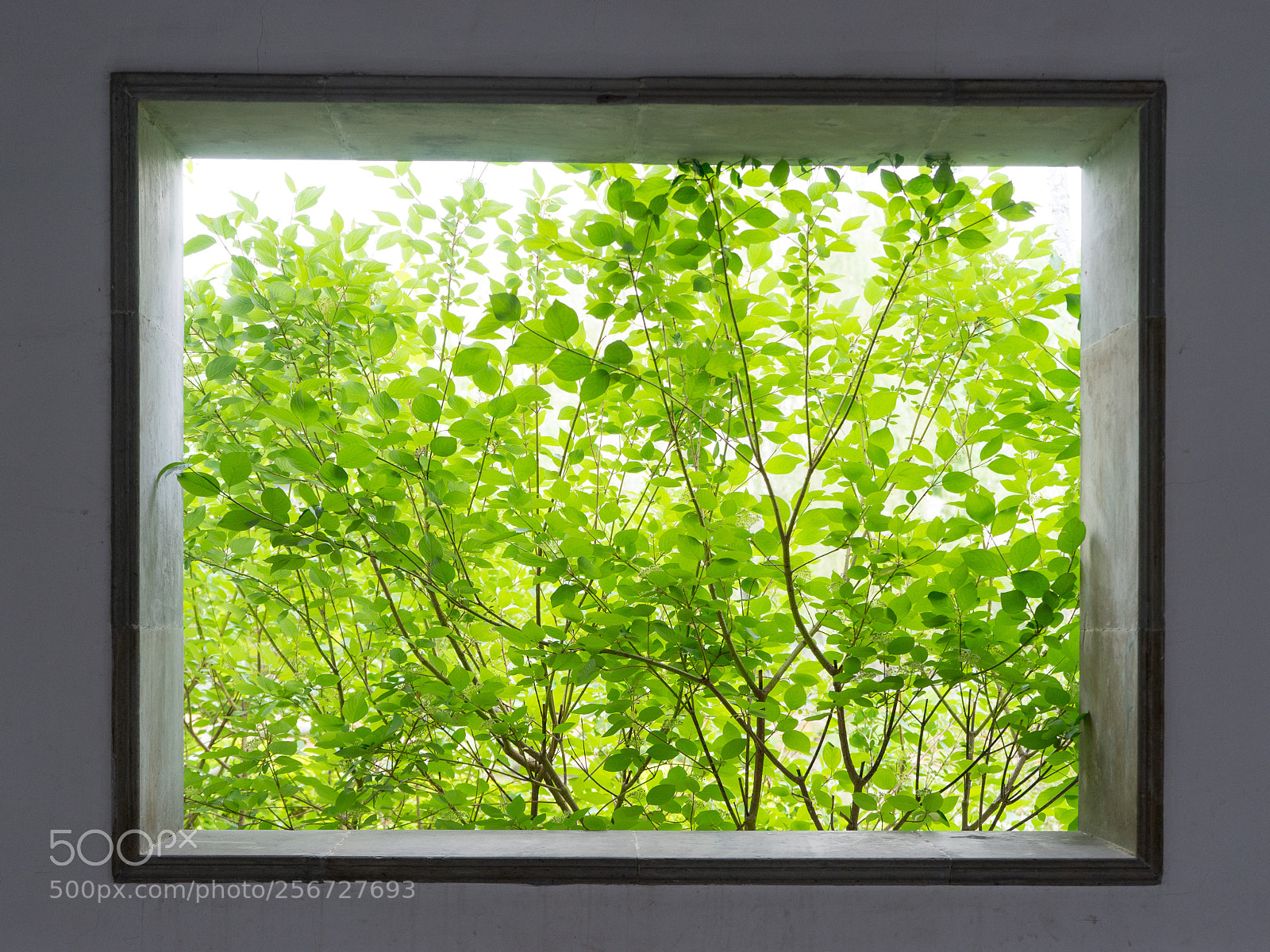 Sony a7 sample photo. A painting on wall? photography