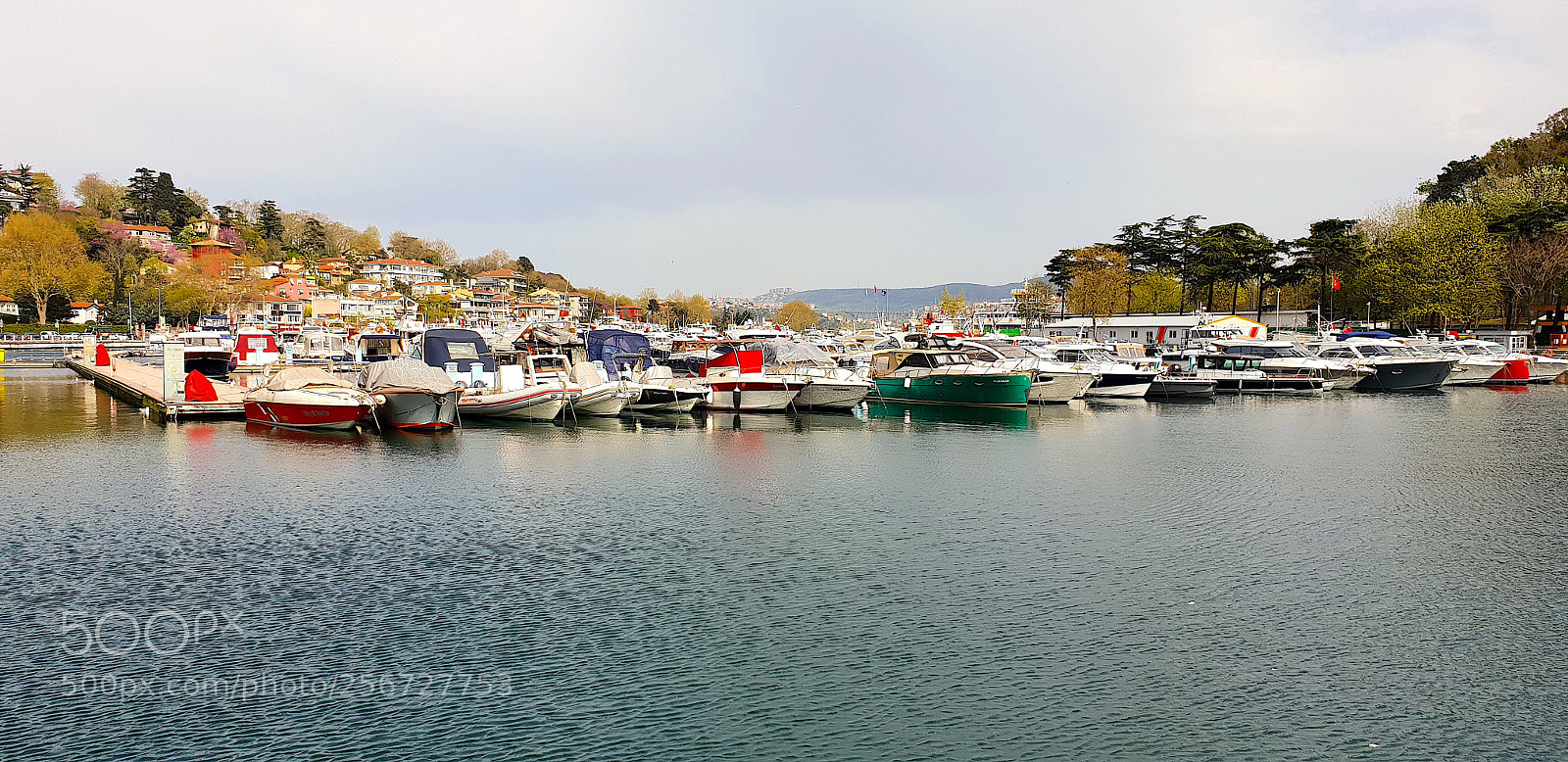 Samsung Galaxy S9+ sample photo. 20180417_161940.jpg photography