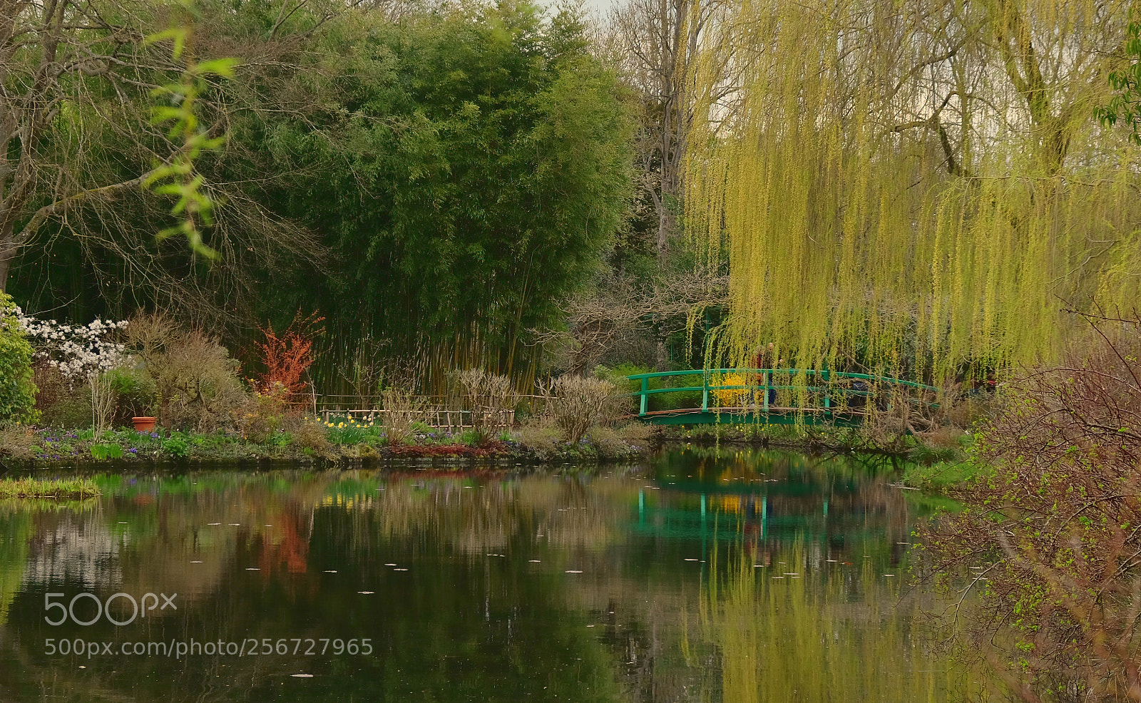Fujifilm X-T10 sample photo. Impresionismo, jardines de la photography