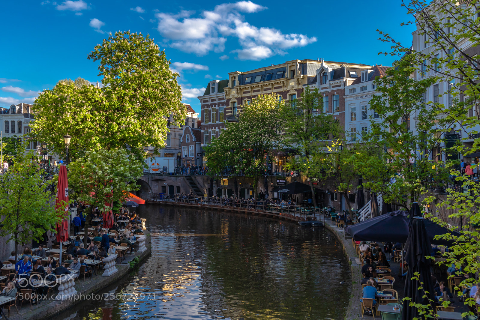 Canon EOS 80D sample photo. View from jansbrug photography