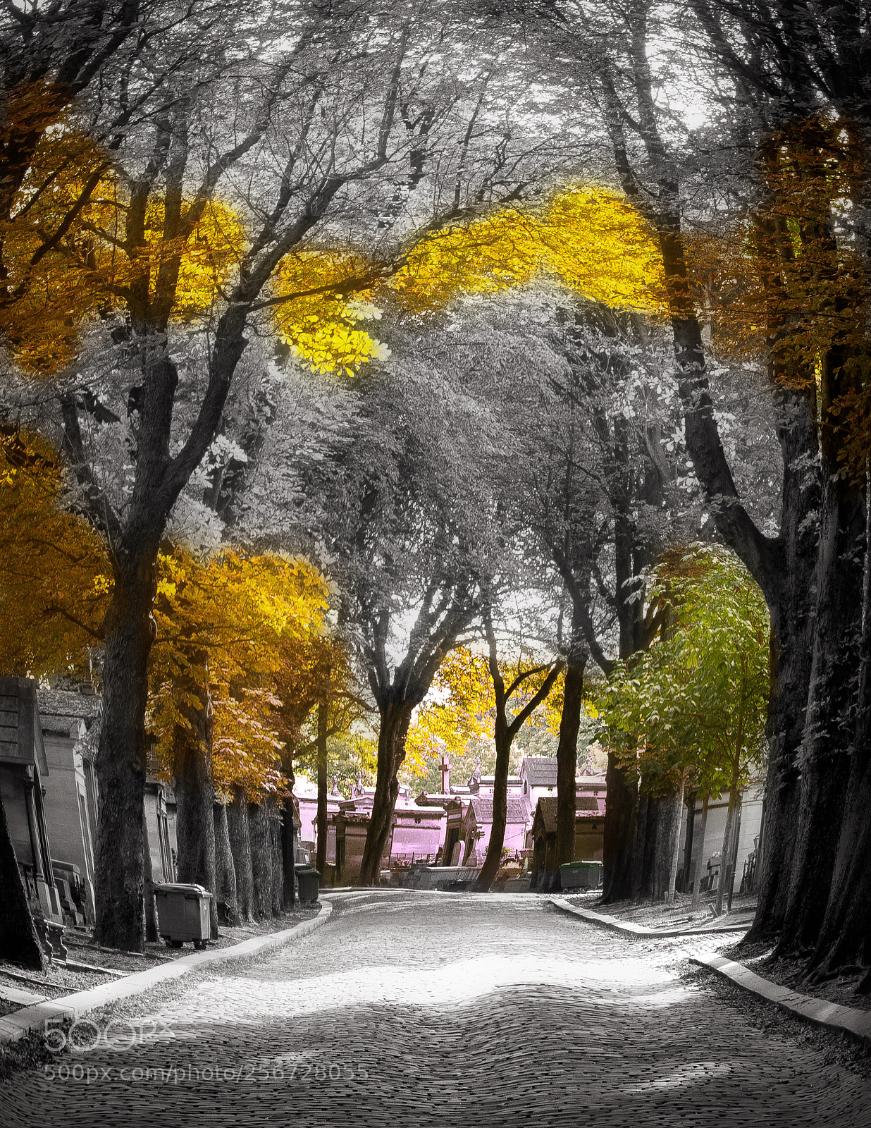Canon EOS 5D Mark II sample photo. Path to the end photography