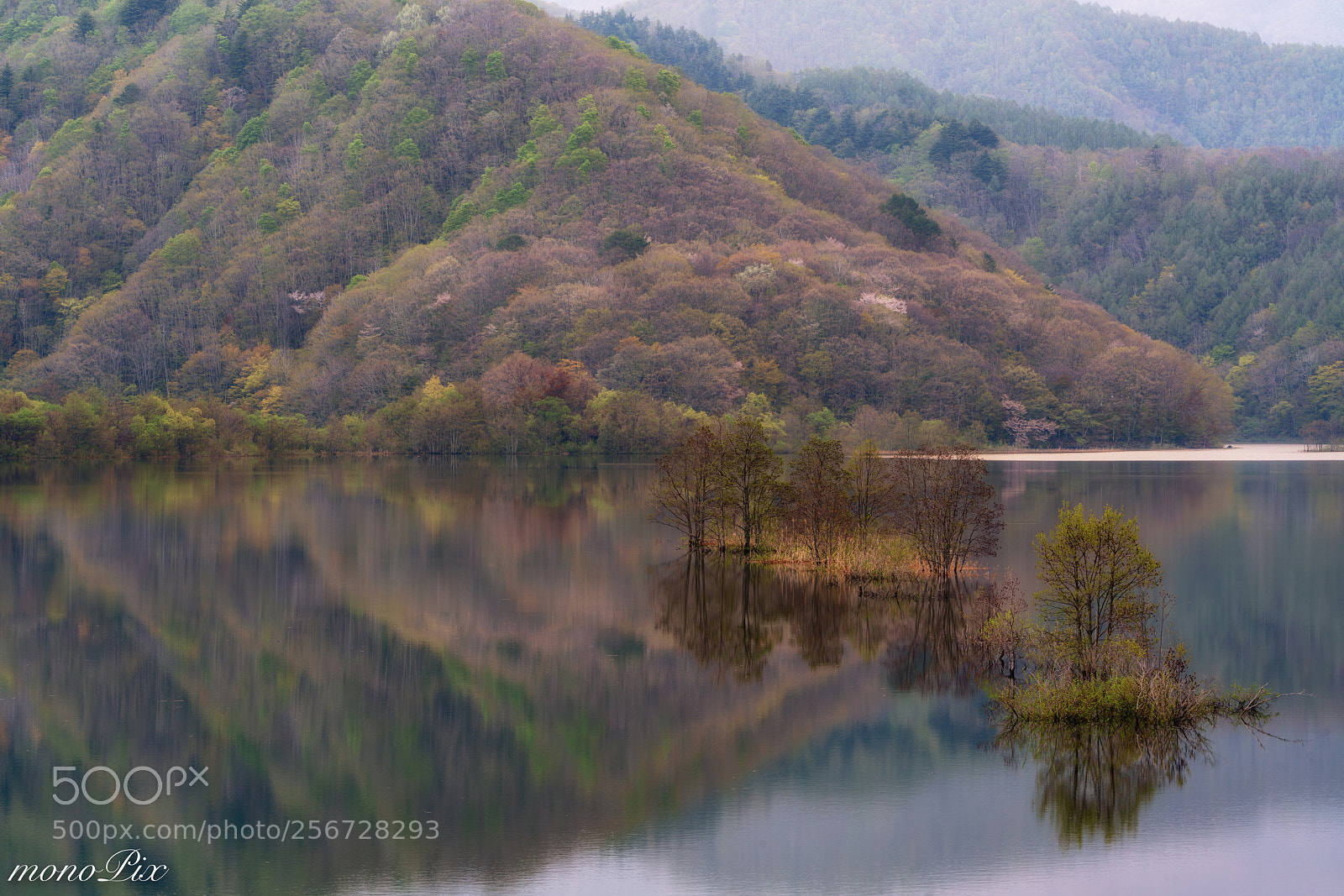 Sony a7R III sample photo. Morning serene lake photography