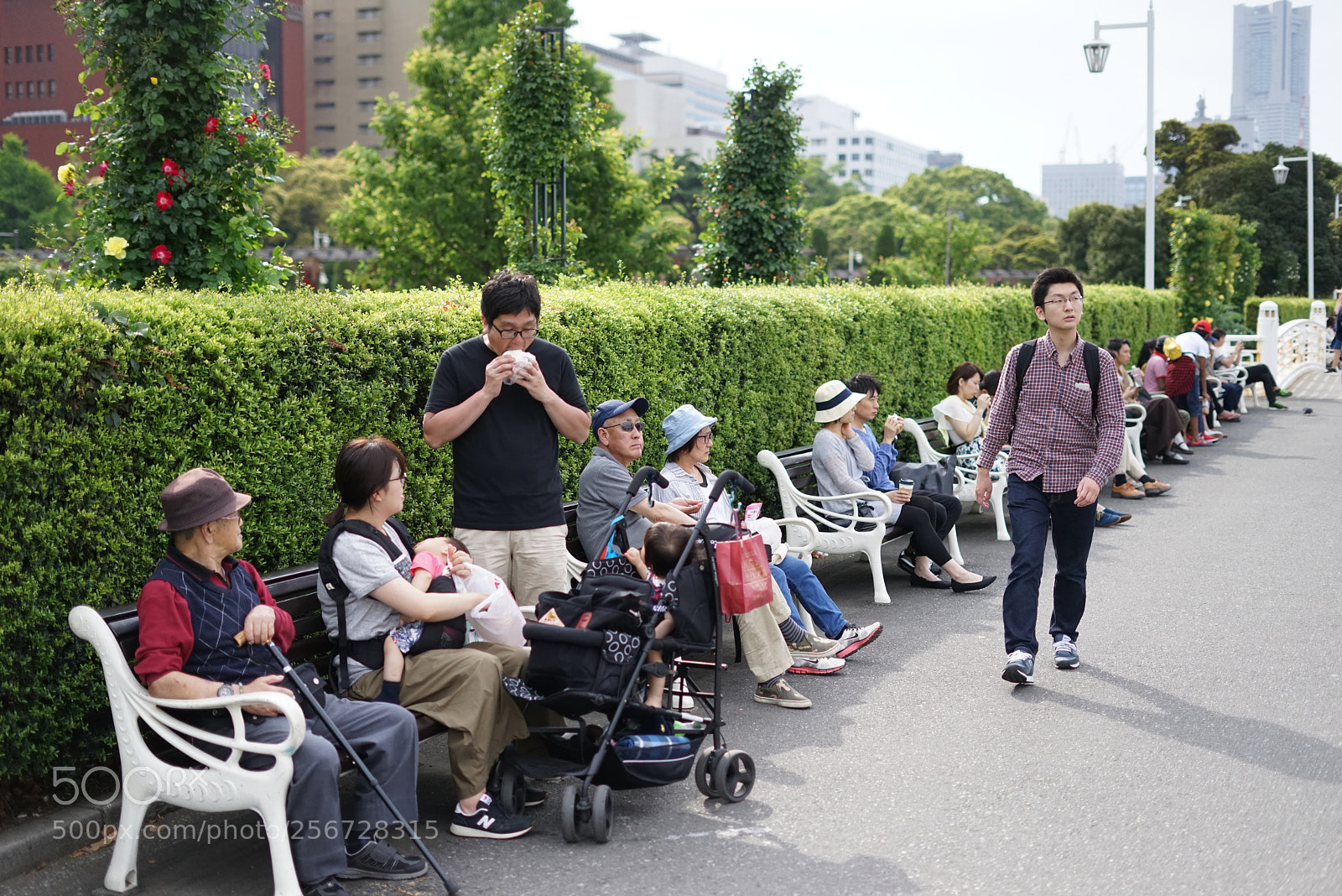 Sony a7R sample photo. A place of rest photography