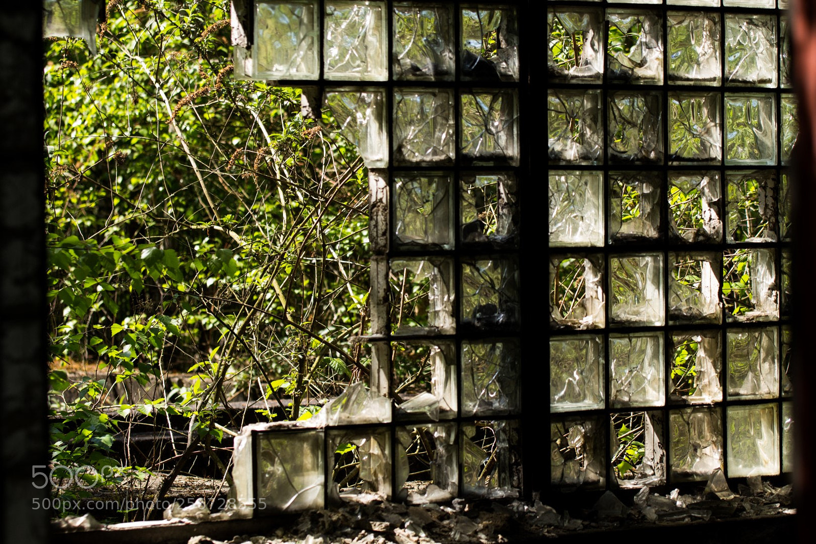 Canon EOS 700D (EOS Rebel T5i / EOS Kiss X7i) sample photo. Zeche zollverein essen (dld) photography