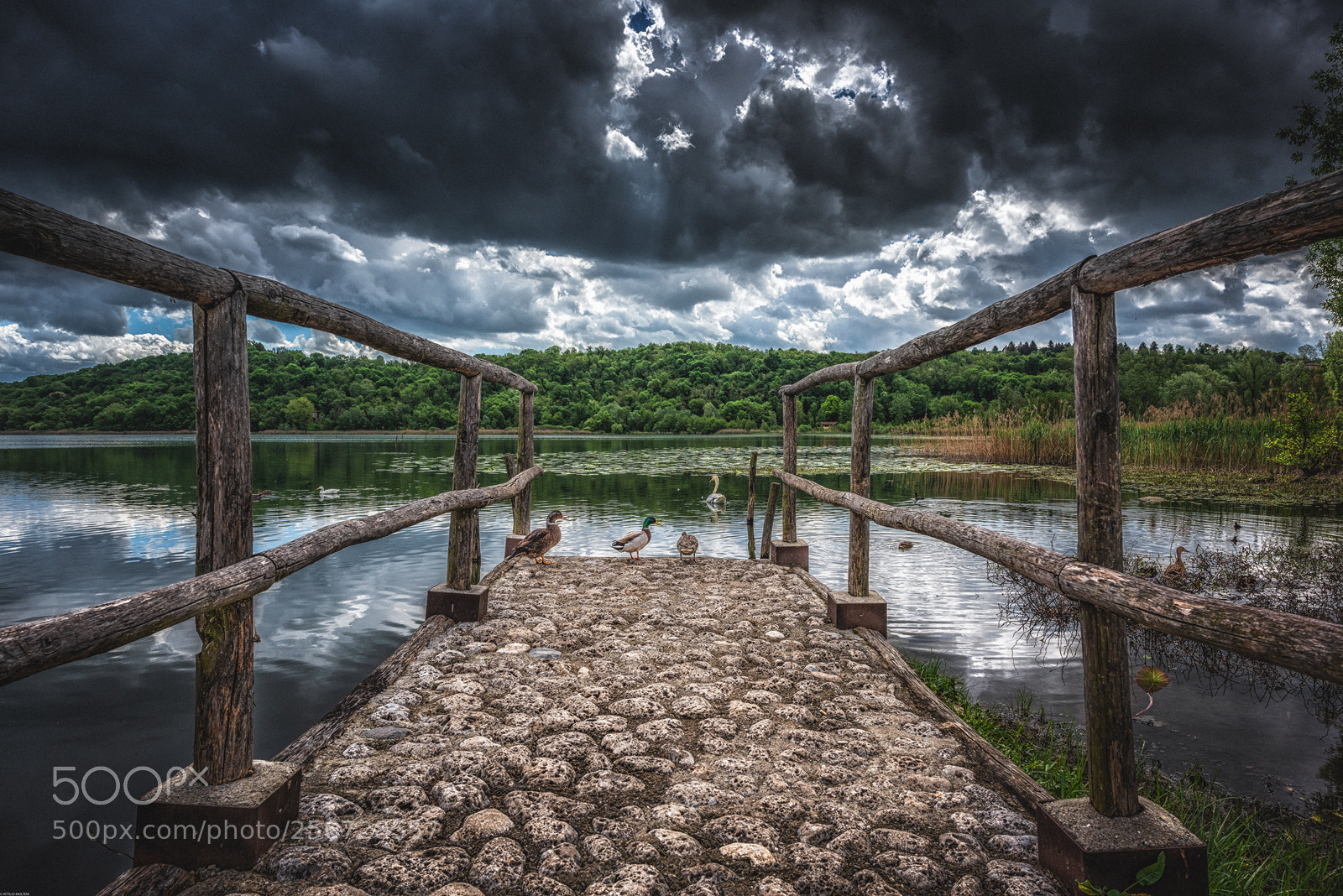 Nikon D810 sample photo. Untitled photography