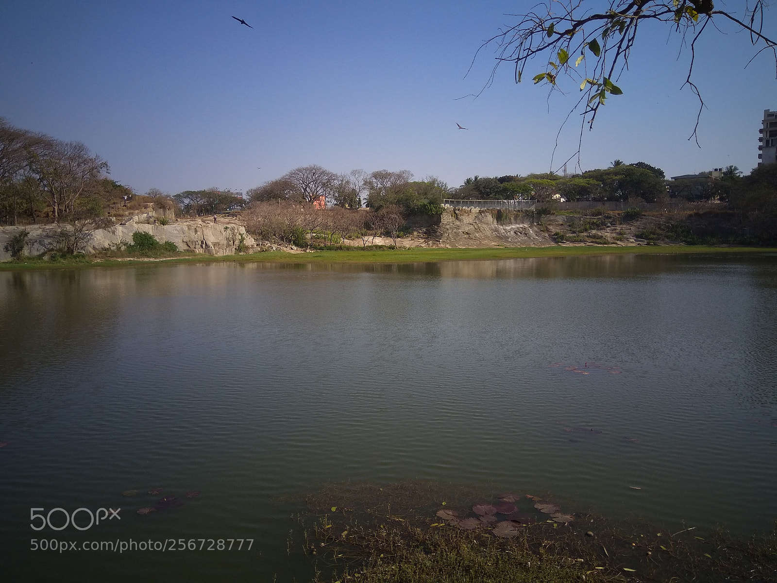 Xiaomi Redmi Note 4 sample photo. Untitled photography