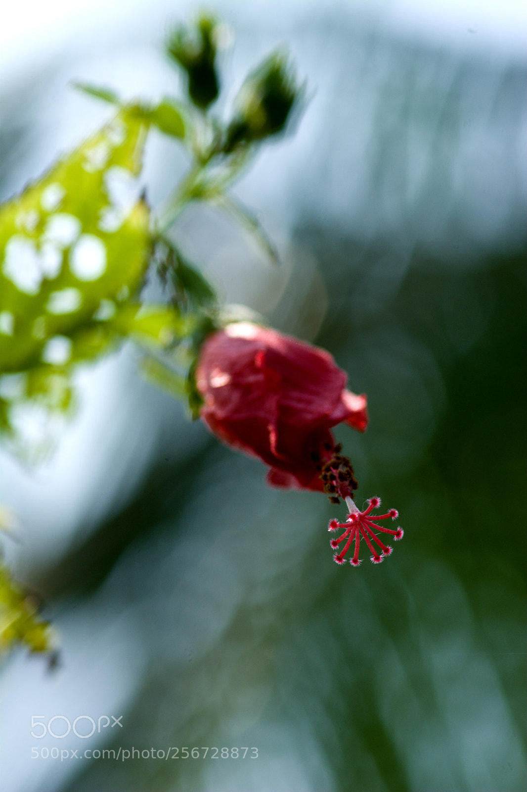Nikon D7100 sample photo. Untitled photography