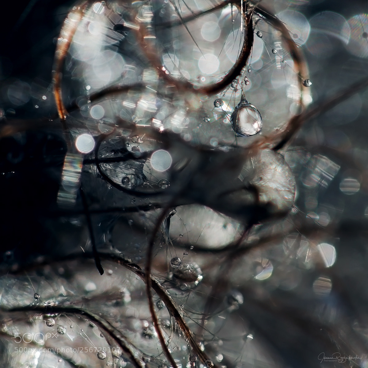 Canon EOS 5D Mark II sample photo. Don't lie photography
