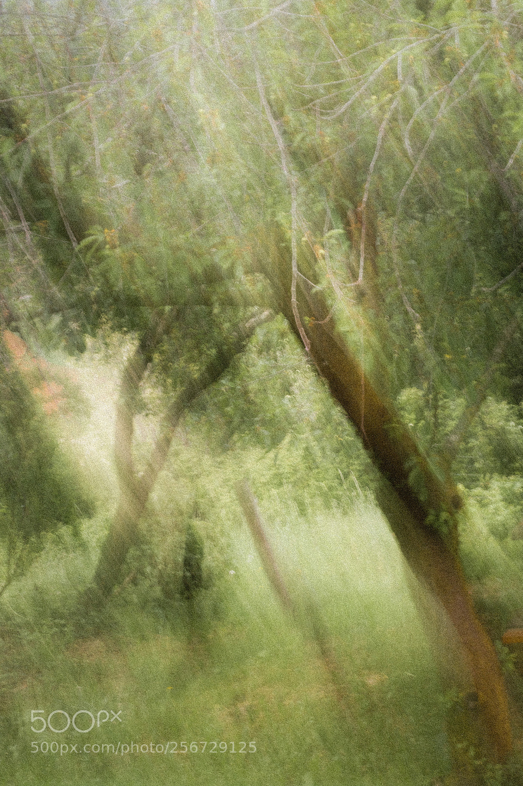 Canon EOS 6D sample photo. Icm landscape photography