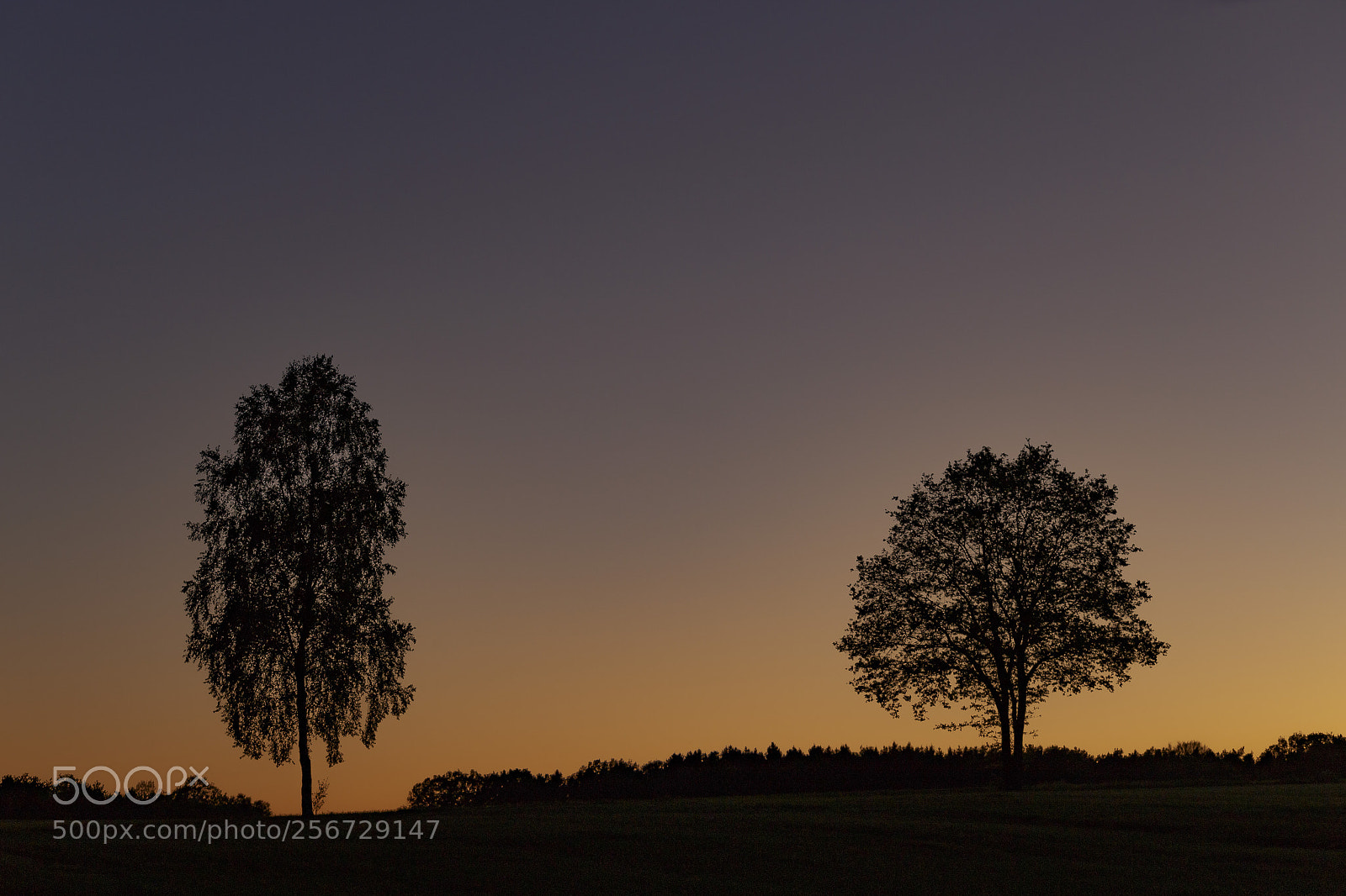 Canon EOS 6D sample photo. Sunset photography