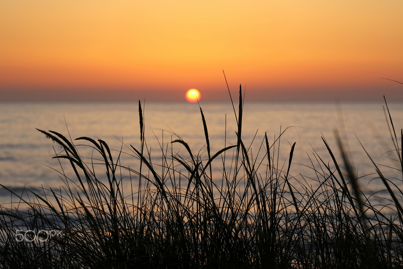 Canon EF 24-70mm F4L IS USM sample photo. Sunset photography