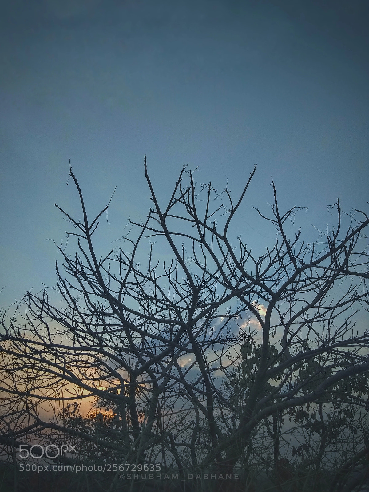 Xiaomi Redmi Note 5A sample photo. Untitled photography