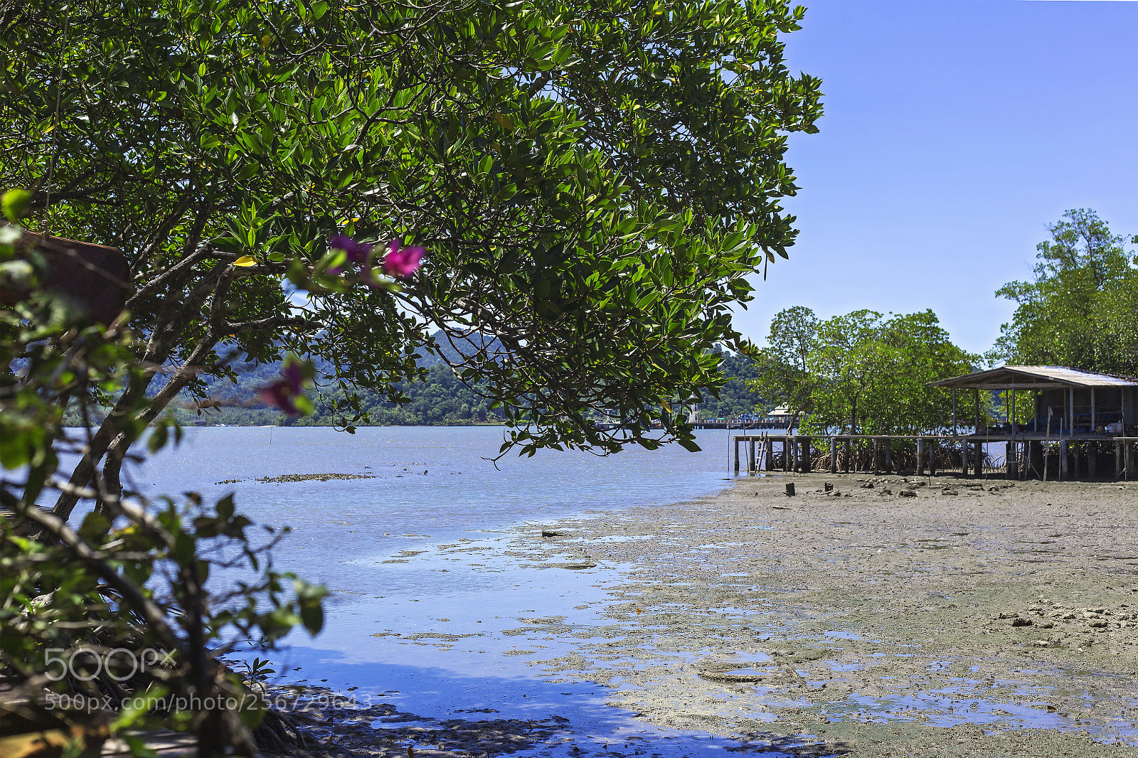 Canon EOS 6D sample photo. Small fishing port. photography