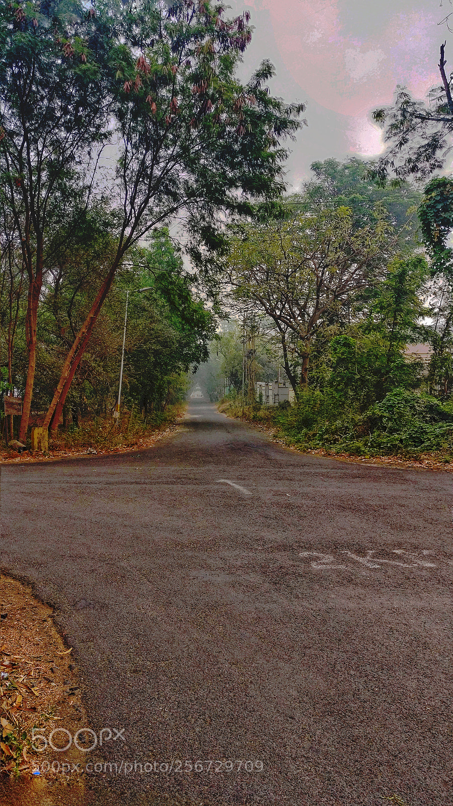 OnePlus A3003 sample photo. Green photography
