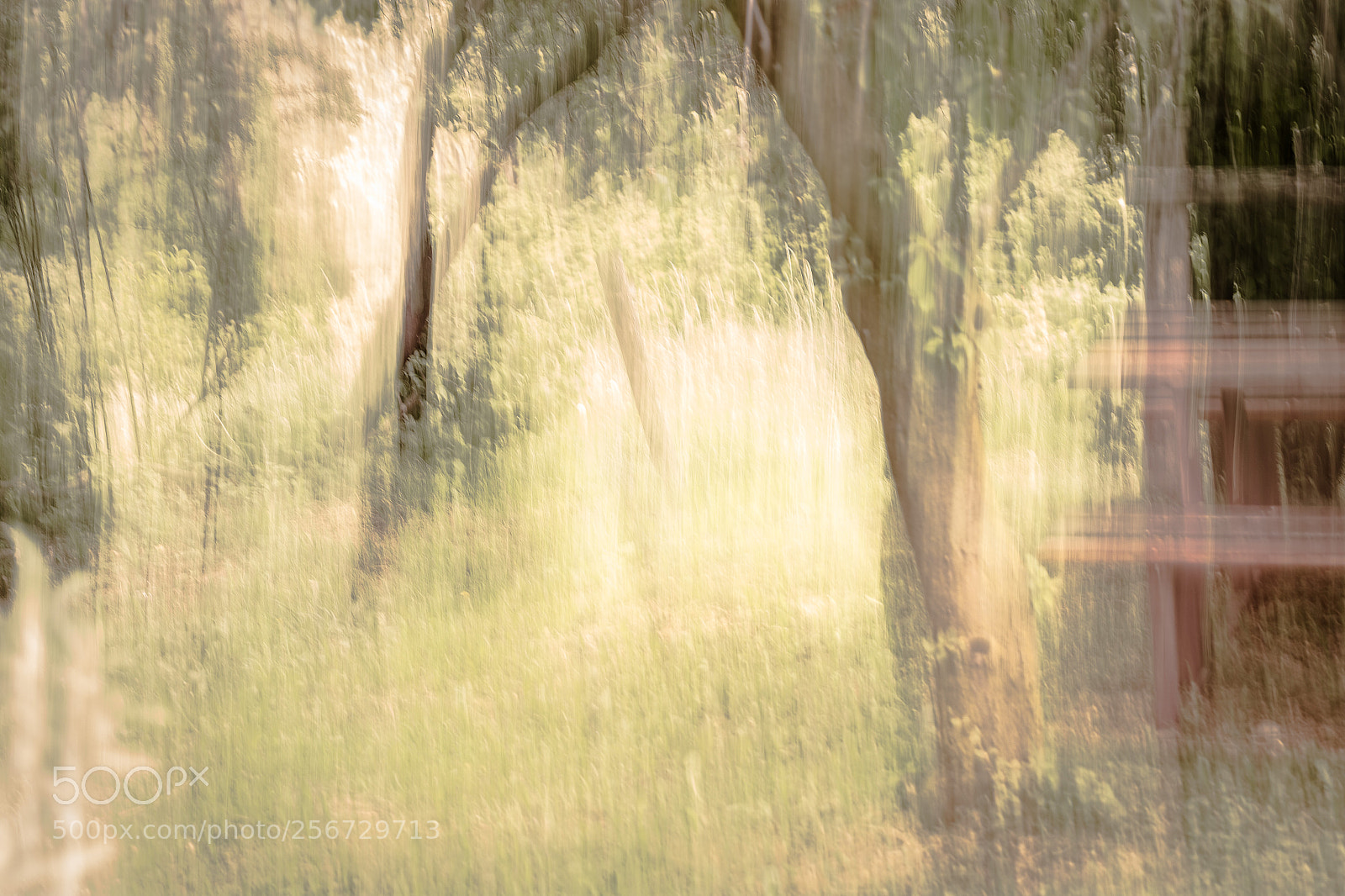 Canon EOS 6D sample photo. Icm landscape ii photography