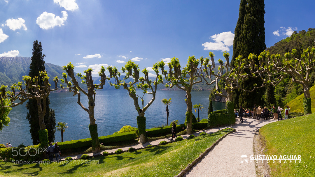 Canon EOS 60D sample photo. The path - villa photography