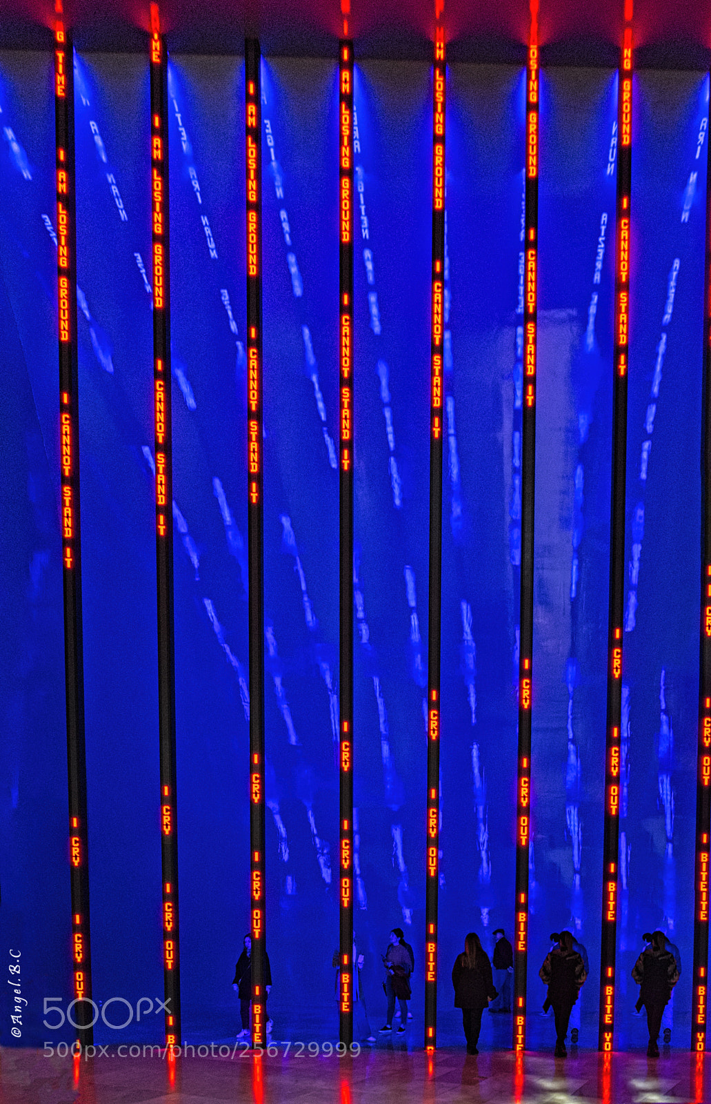 Nikon D7100 sample photo. Museo guggenheim bilbao photography